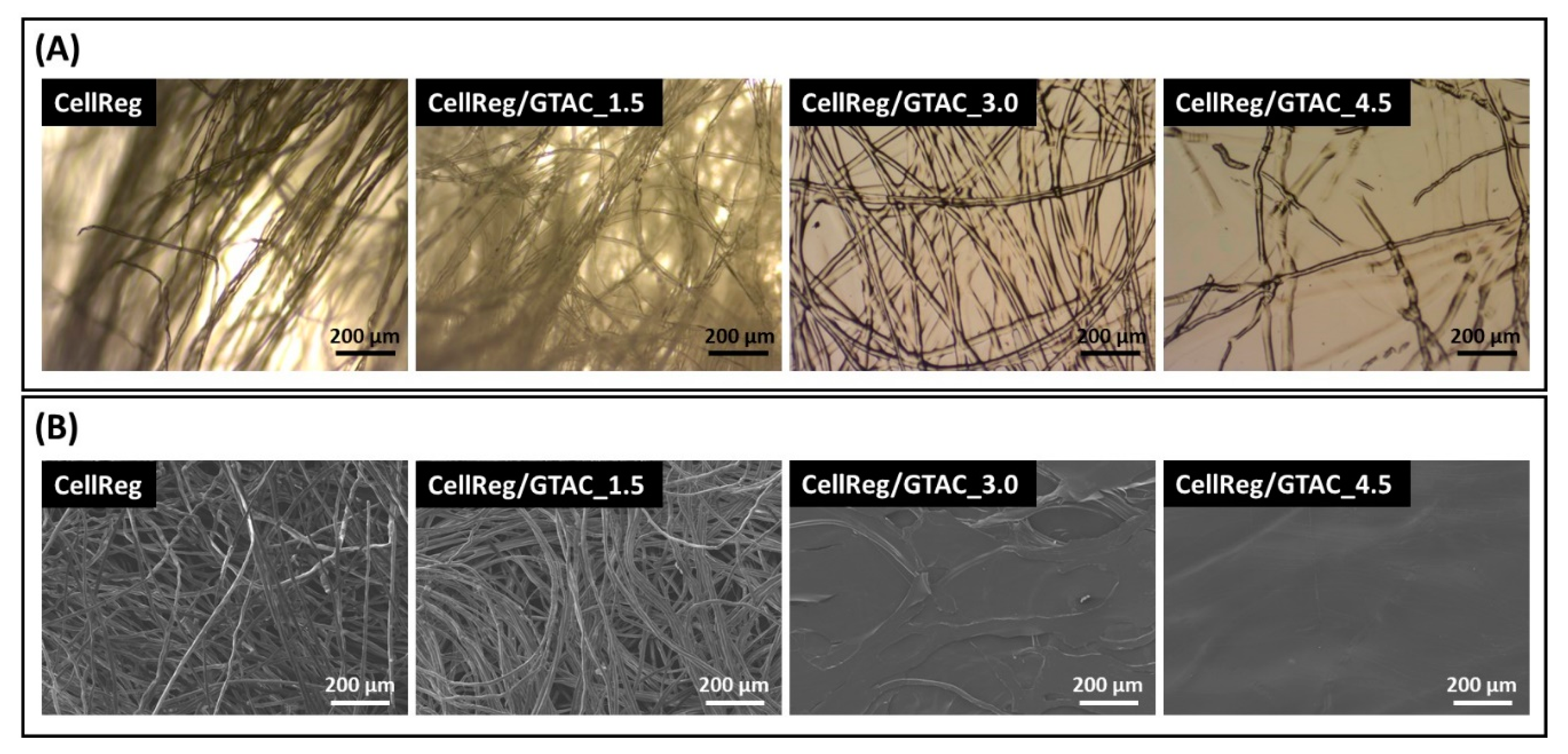 Polysaccharides 03 00036 g003