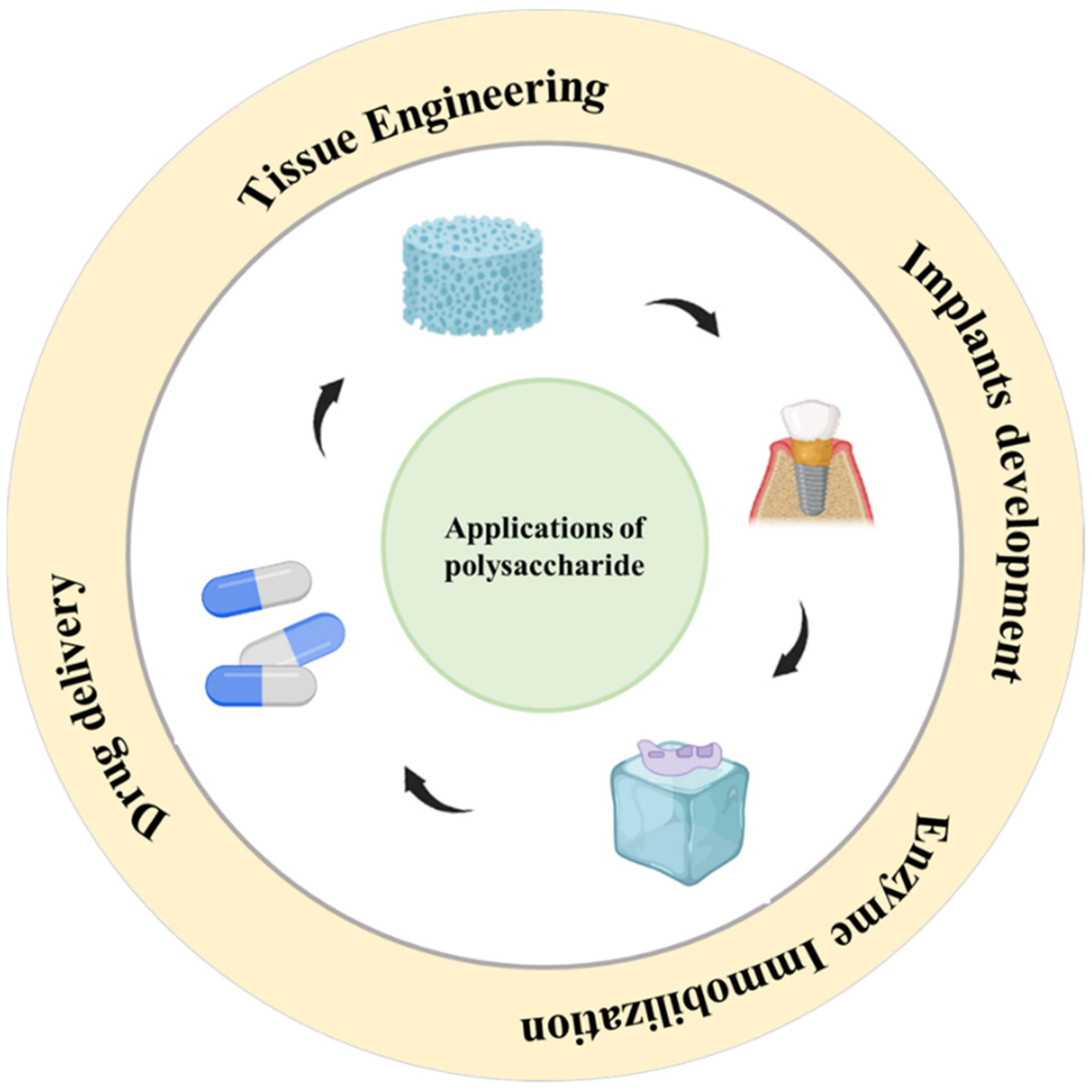 Polysaccharides 03 00037 g002