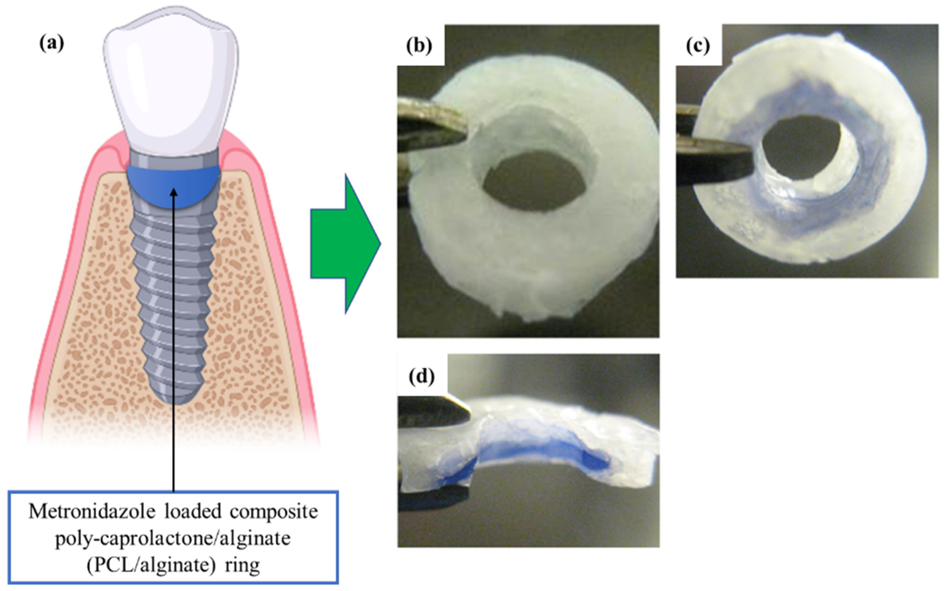 Polysaccharides 03 00037 g006