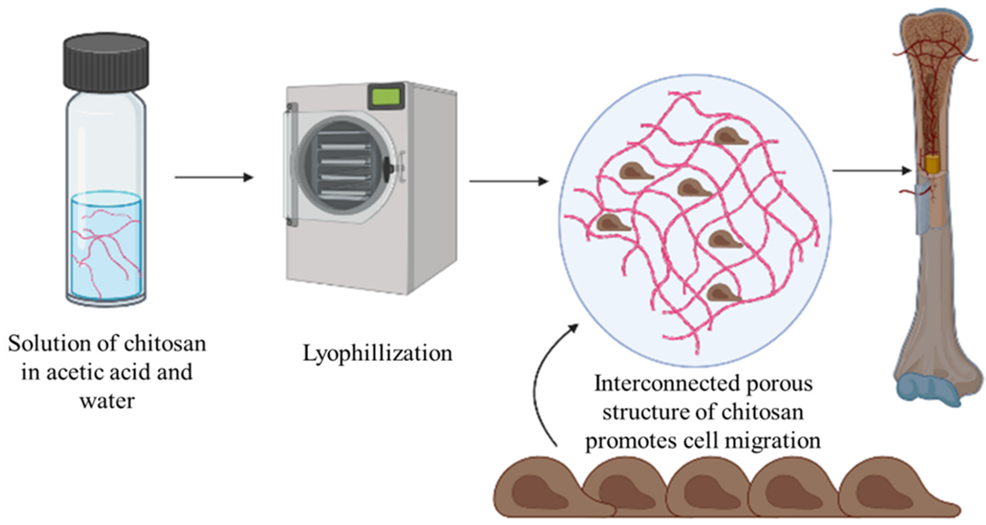 Polysaccharides 03 00037 g008