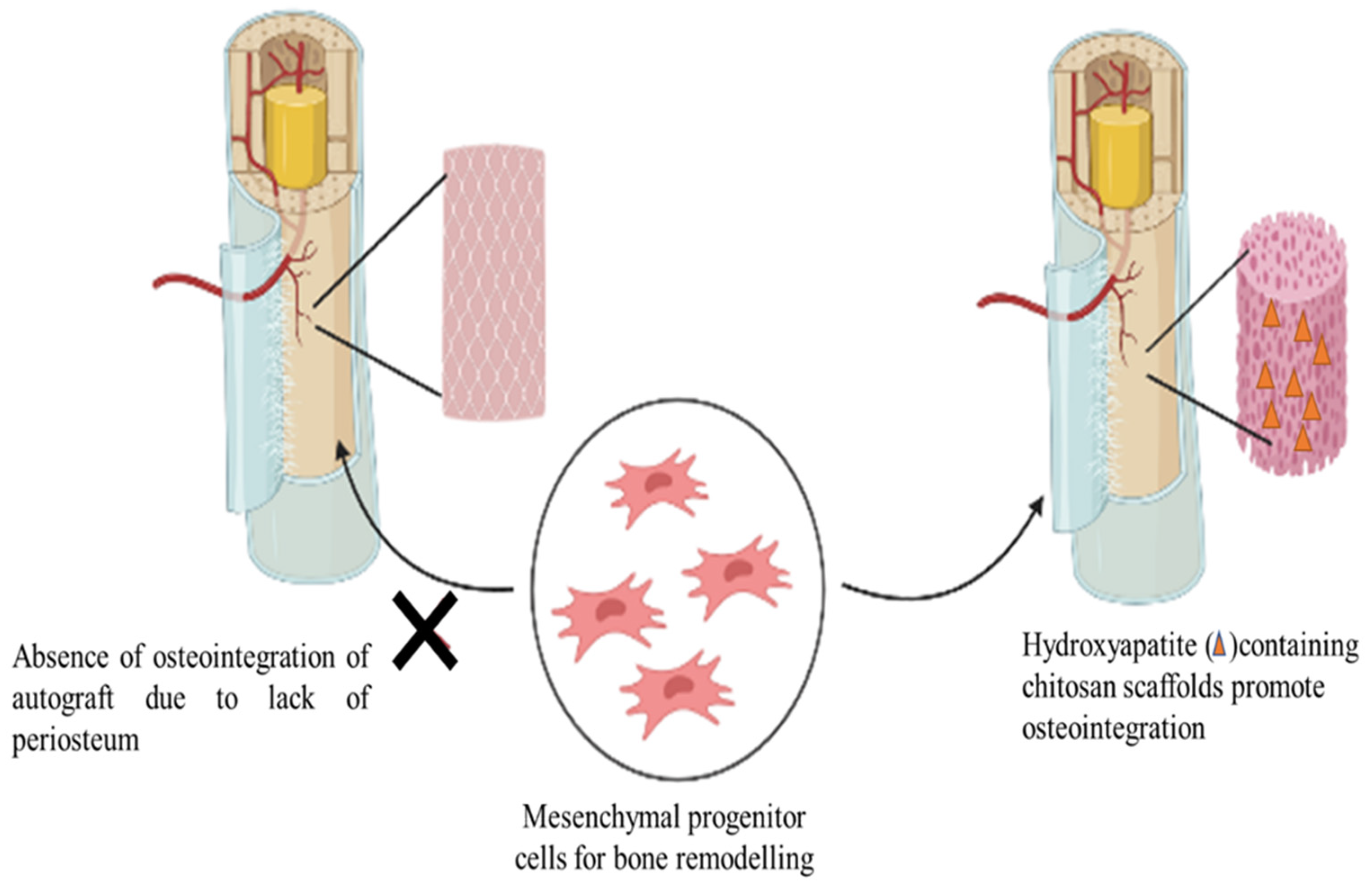 Polysaccharides 03 00037 g009