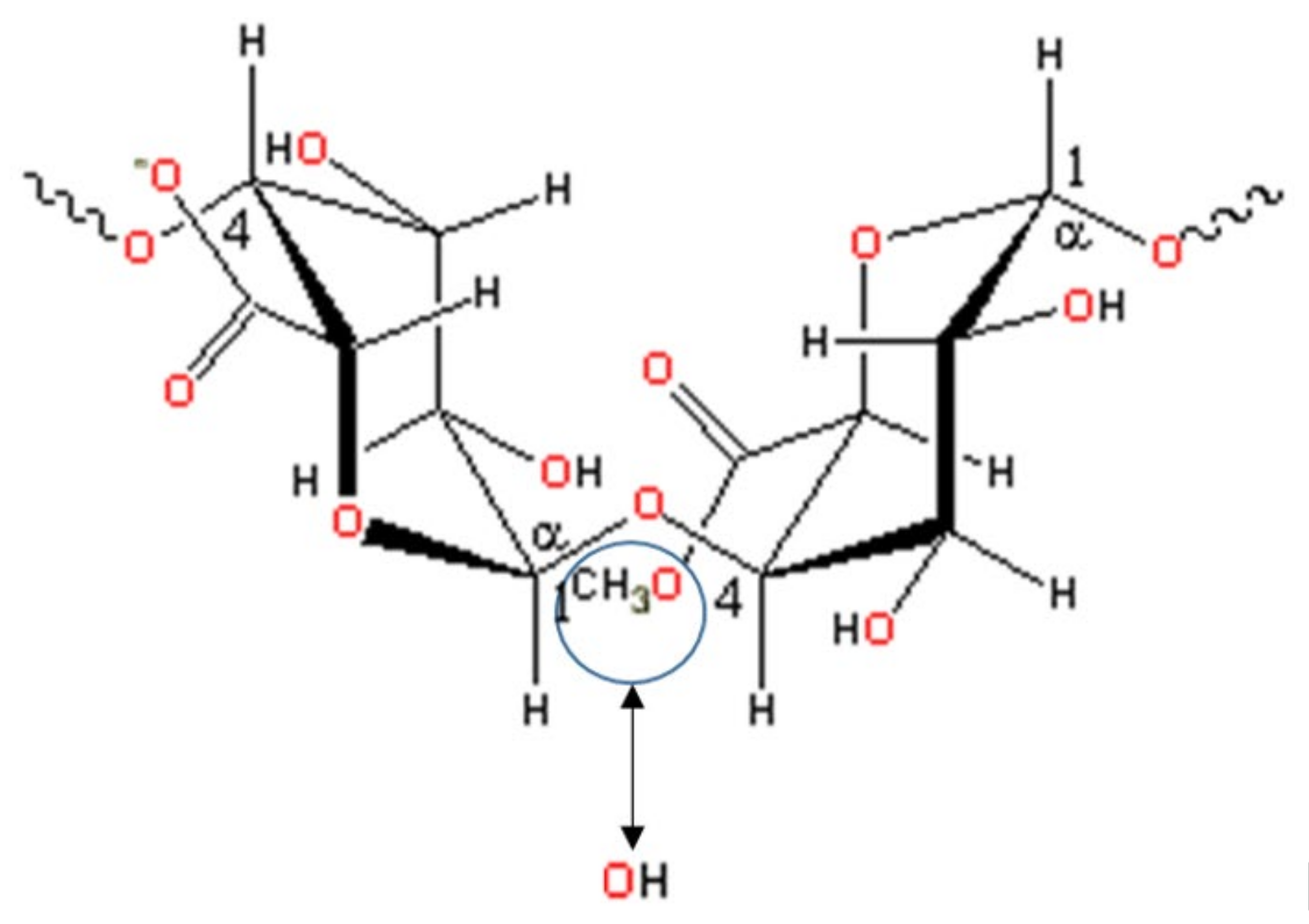 Polysaccharides, Free Full-Text