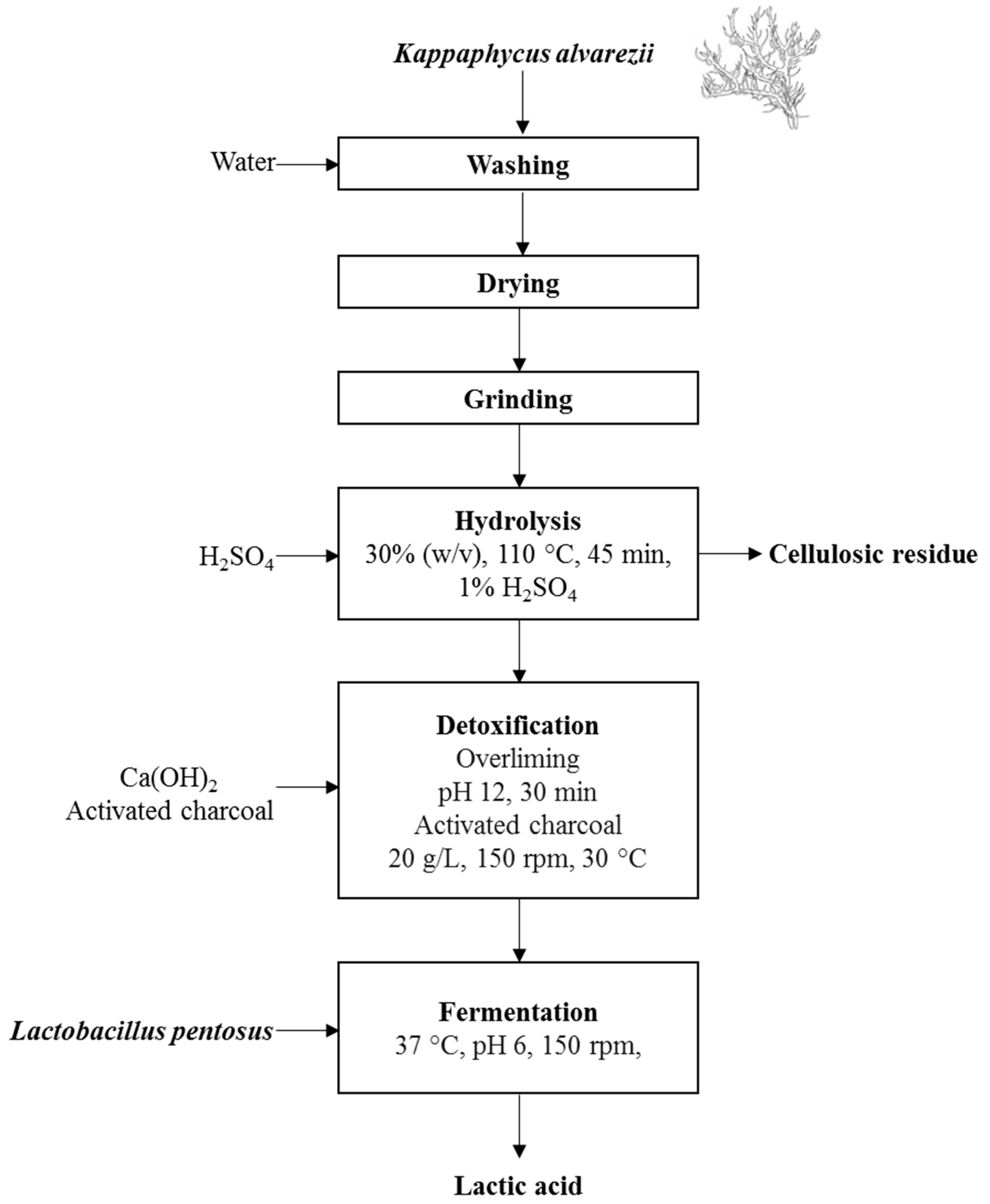 Polysaccharides 04 00017 g005