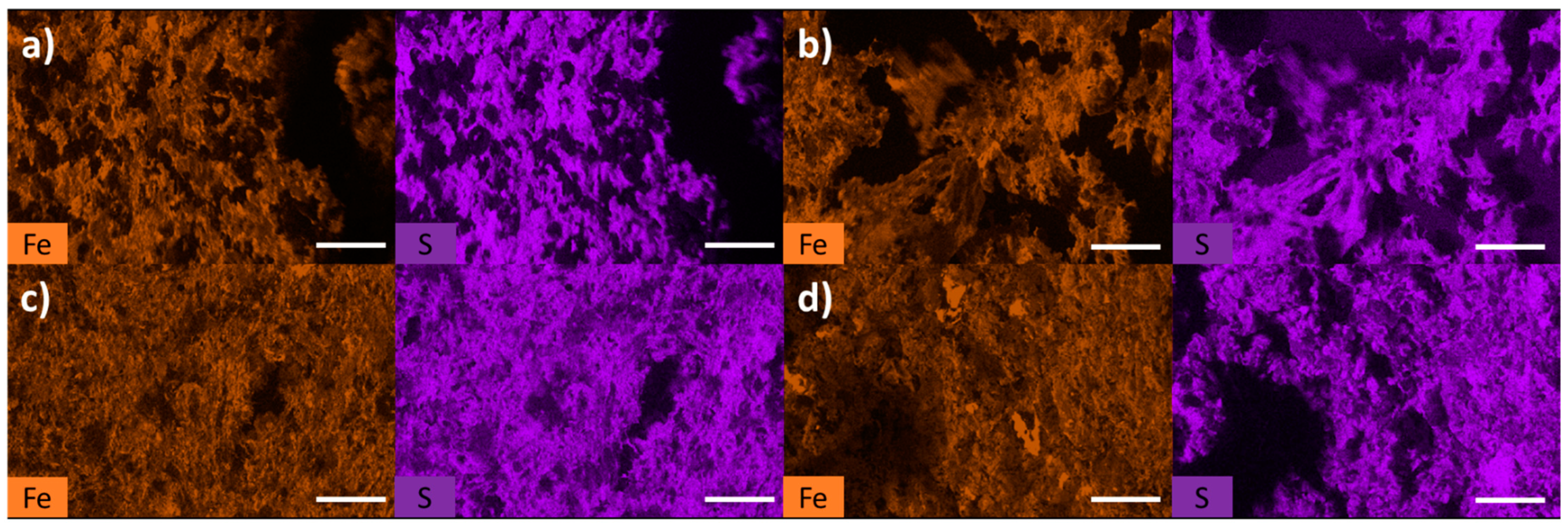 Polysaccharides 04 00019 g005
