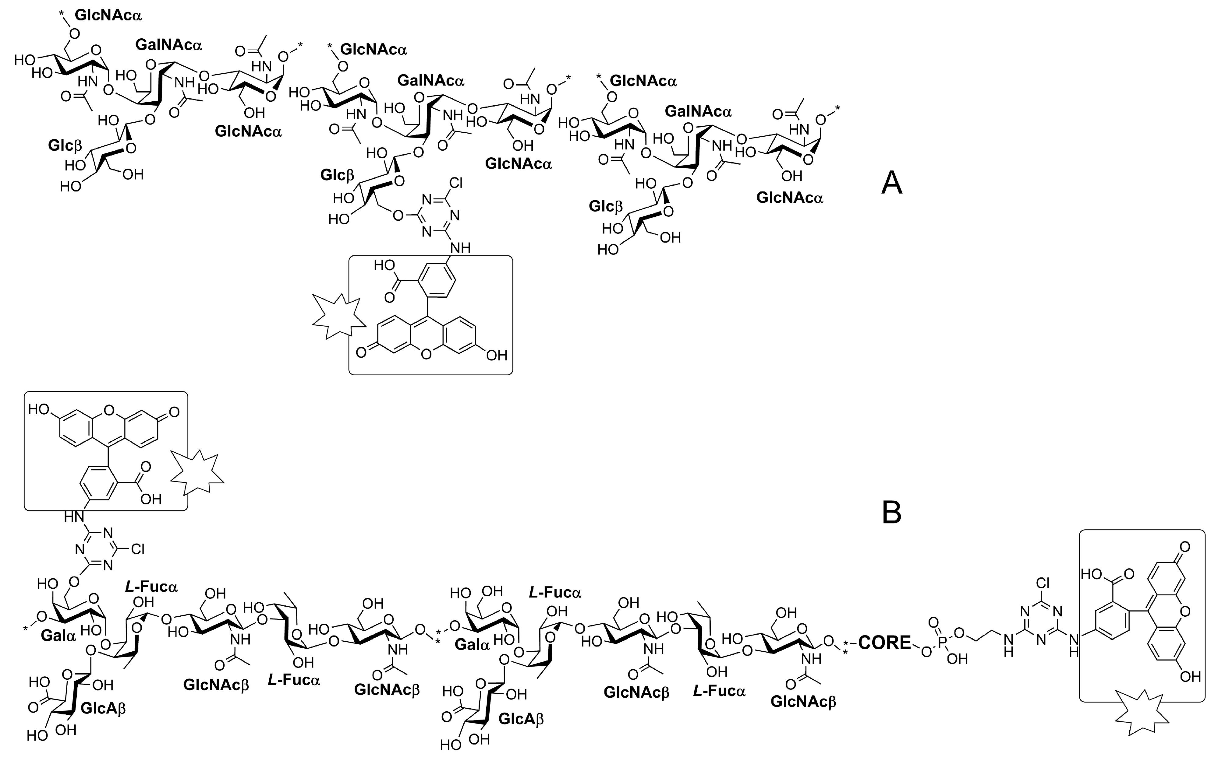 Polysaccharides | Free Full-Text | Labeling Of Polysaccharides With ...