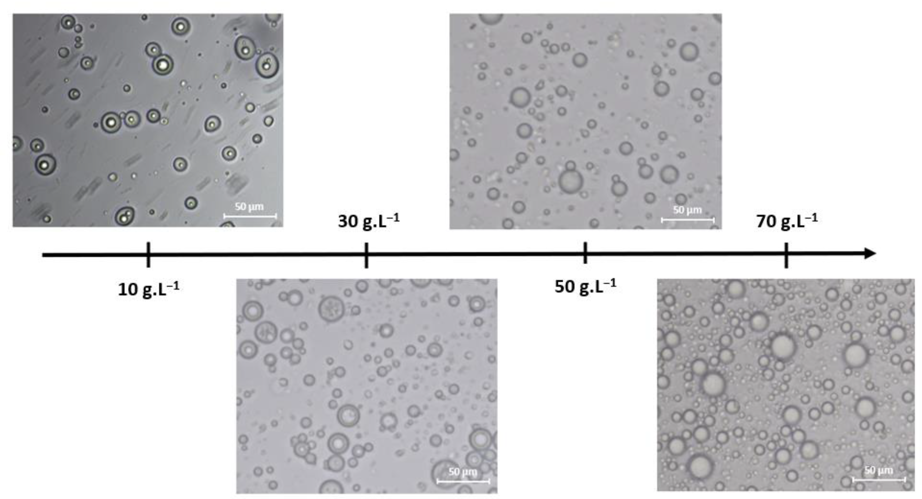 Polysaccharides 05 00005 g001