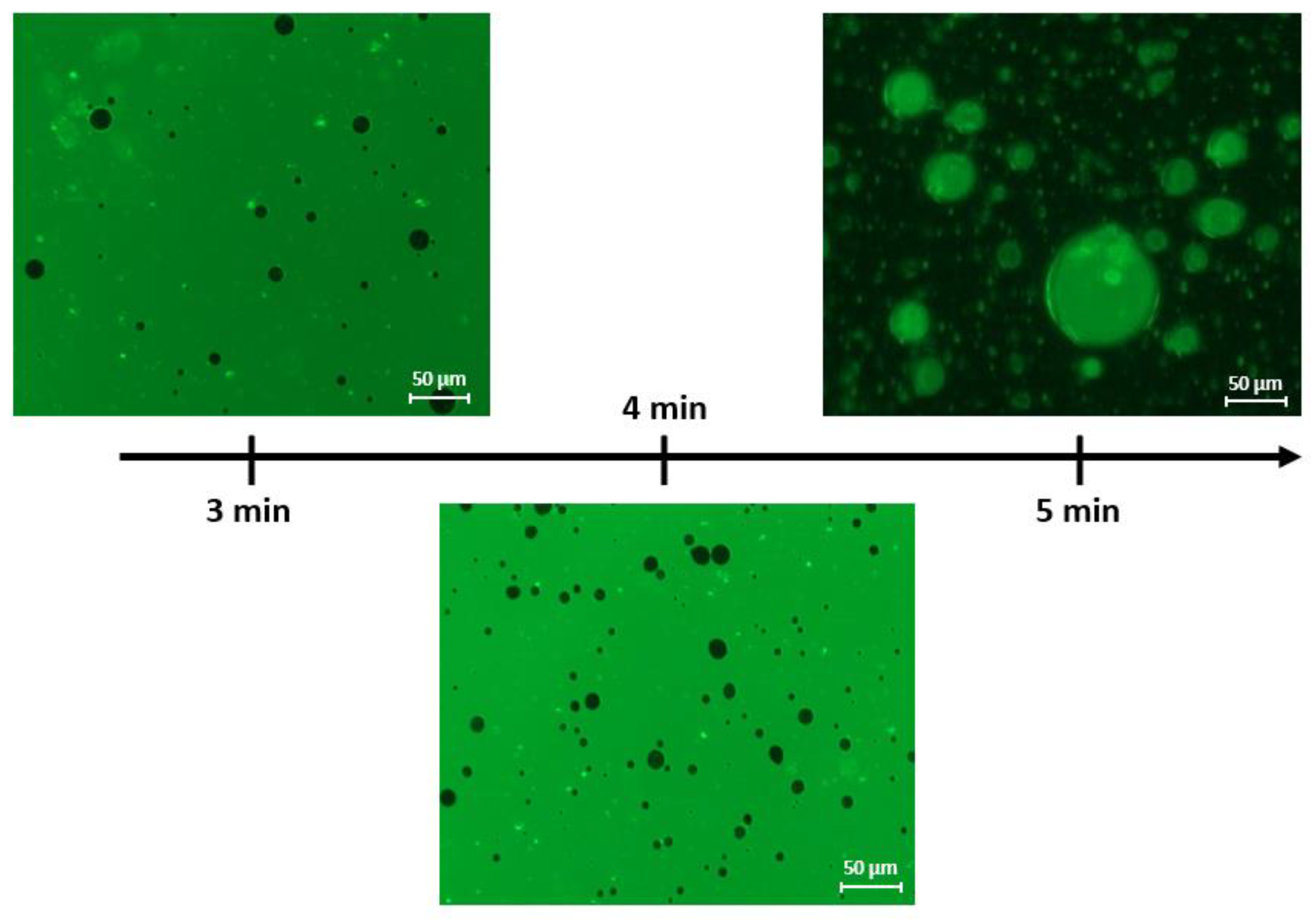 Polysaccharides 05 00005 g003