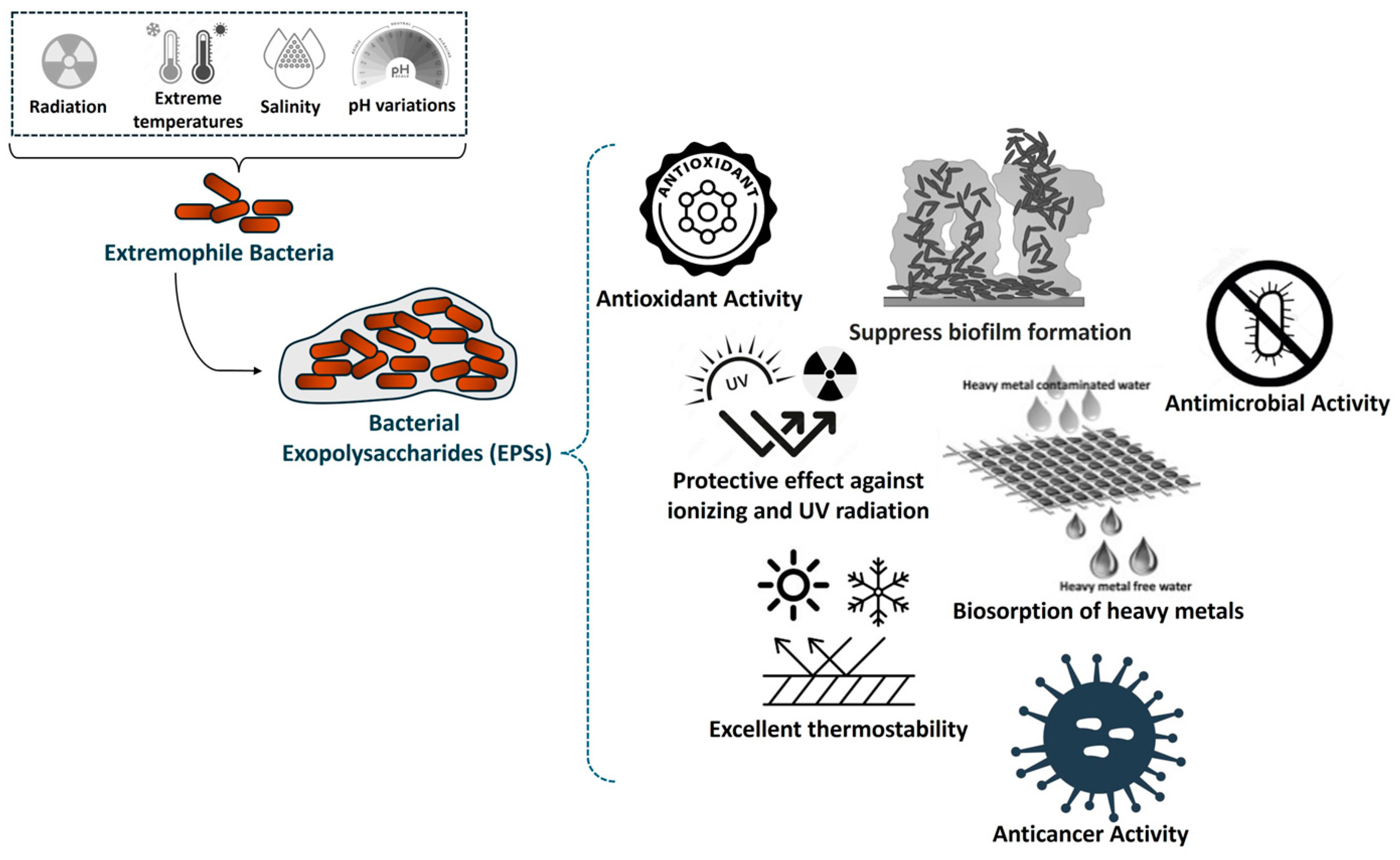 Polysaccharides 05 00018 g008