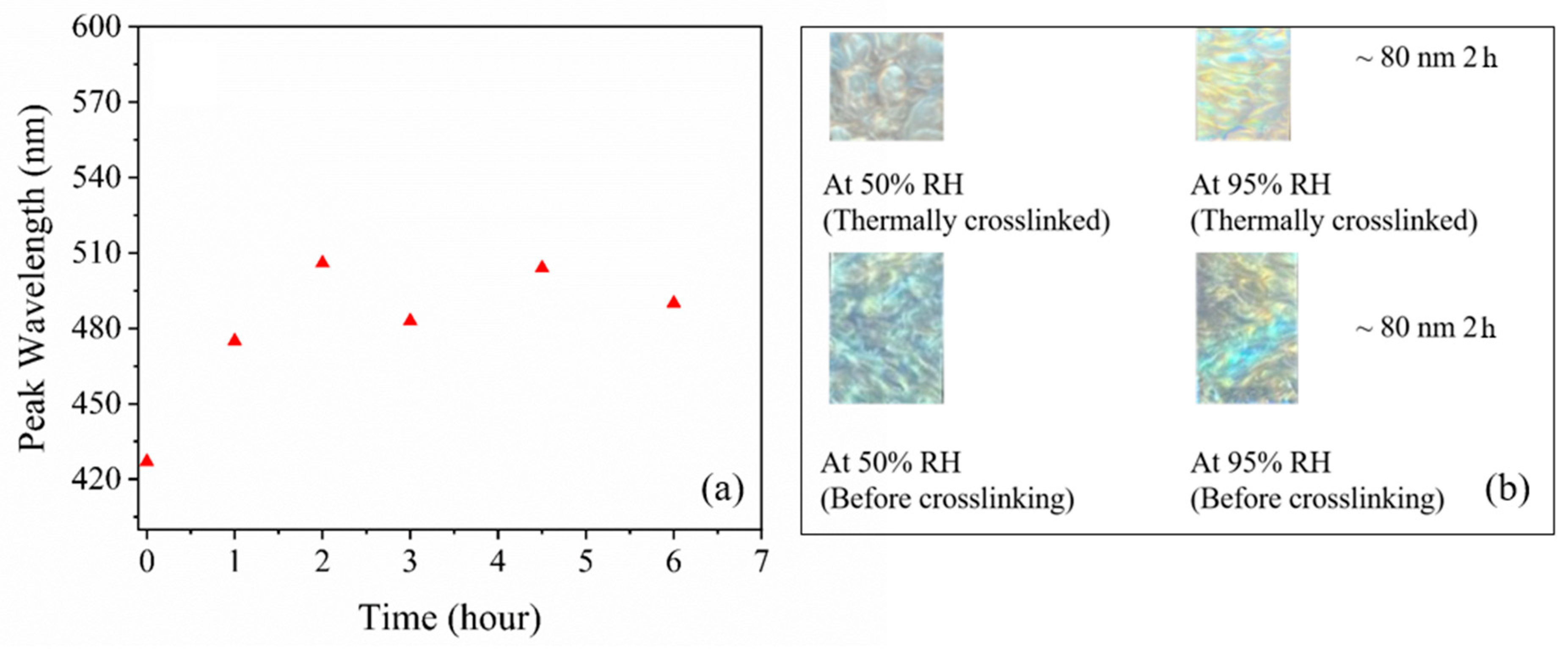 Polysaccharides 05 00019 g007
