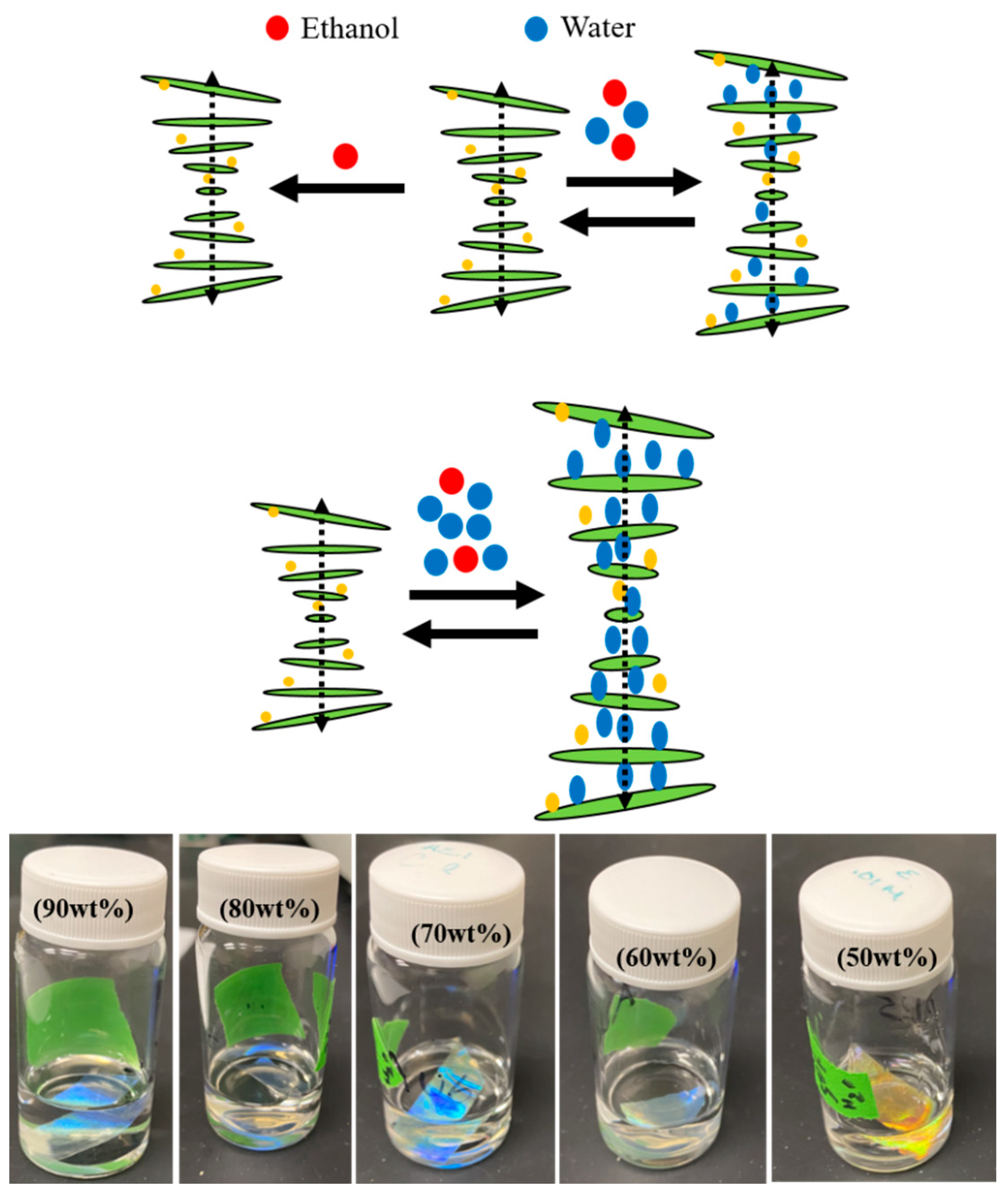 Polysaccharides 05 00019 g011