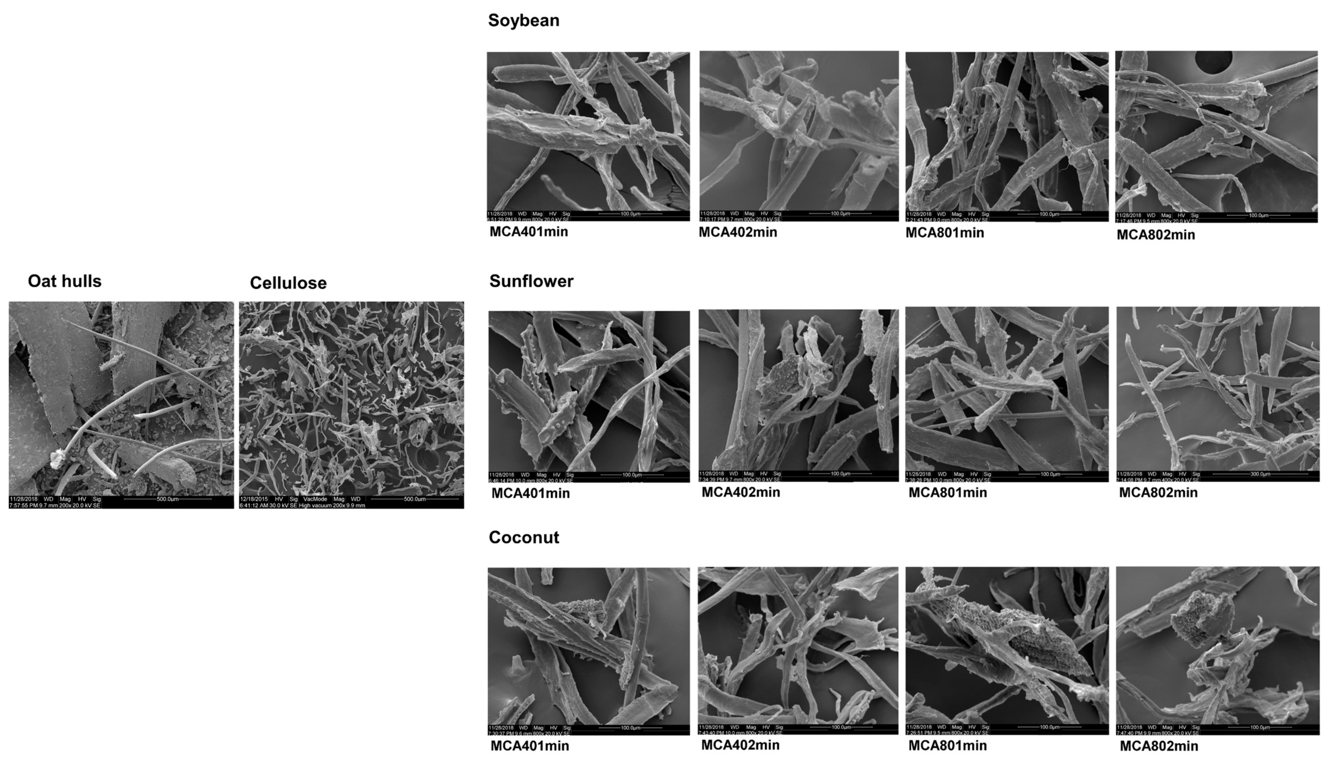 Polysaccharides 05 00029 g003