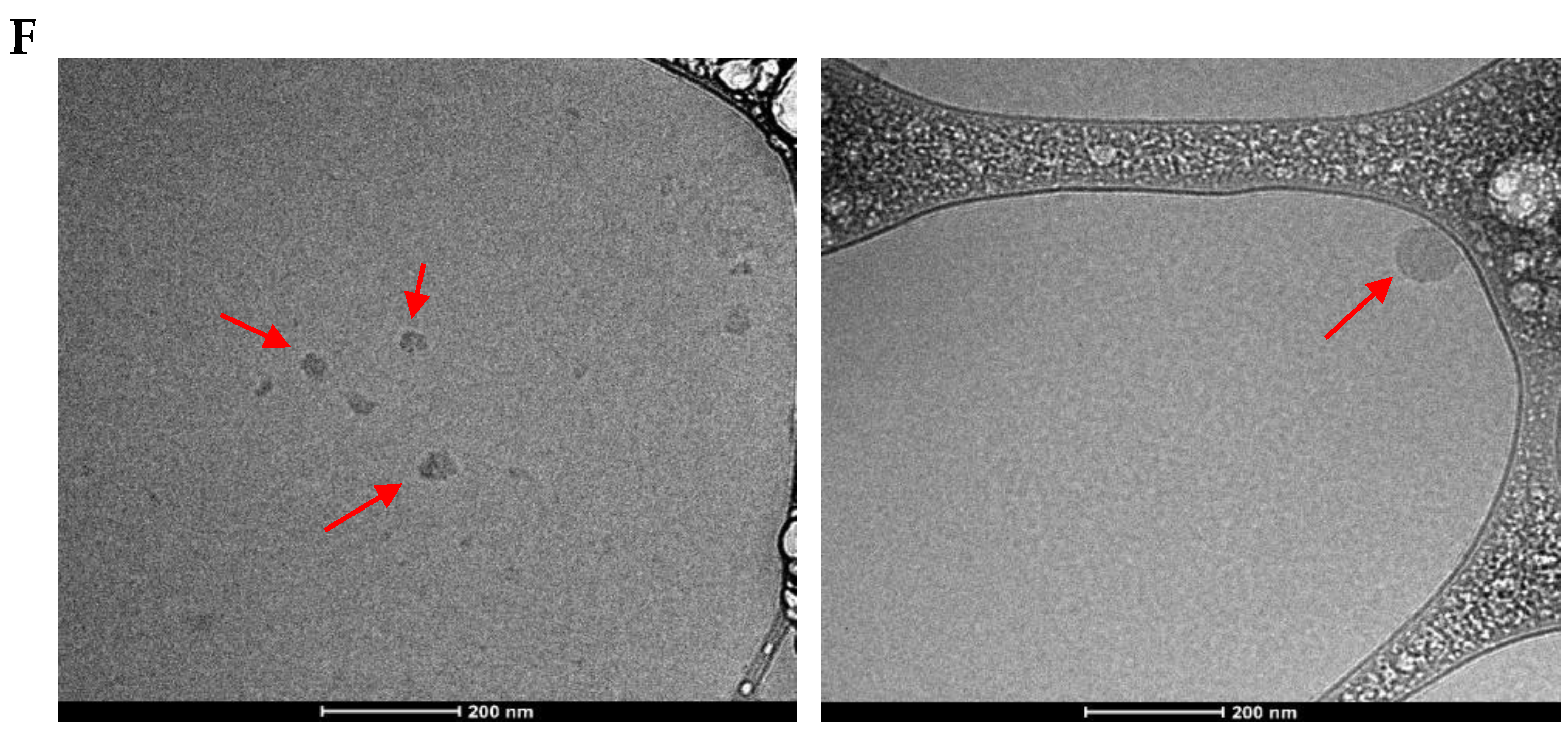 Polysaccharides 05 00037 g003b