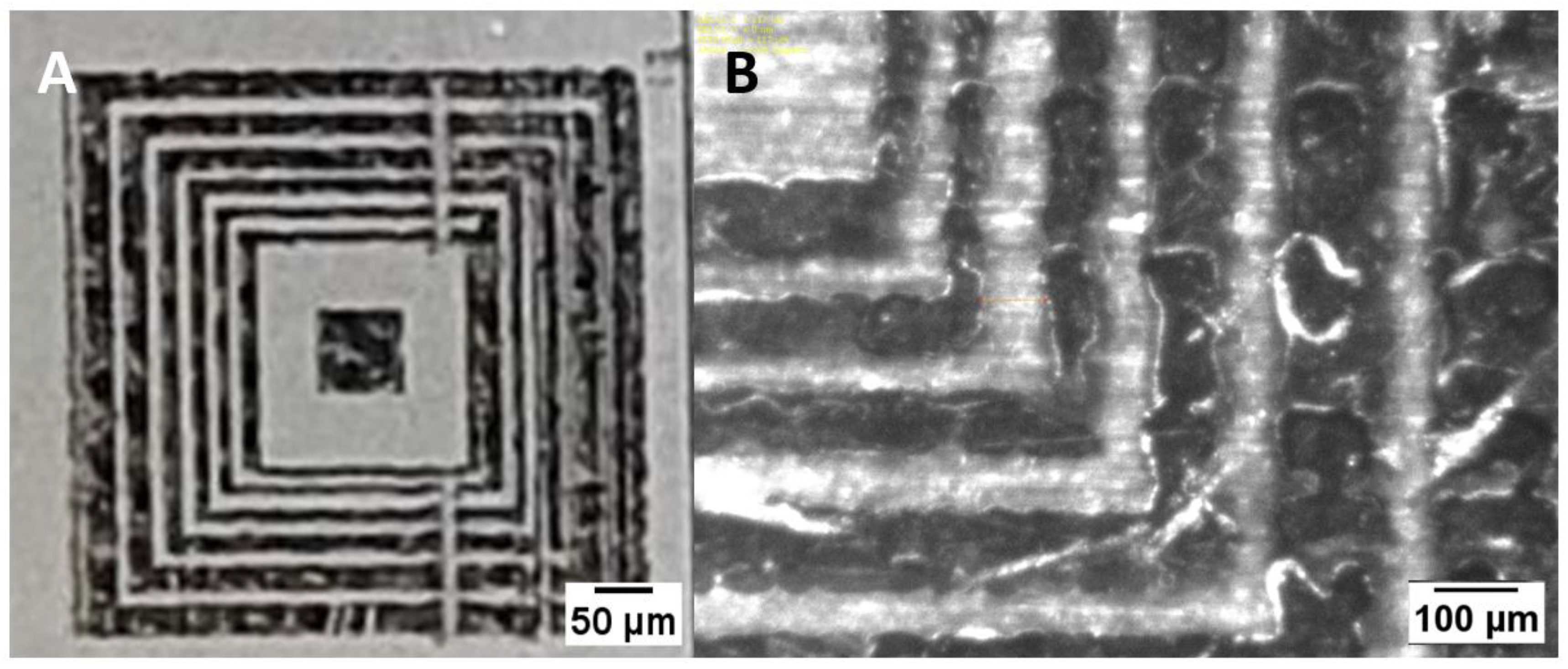 Polysaccharides 05 00048 g004