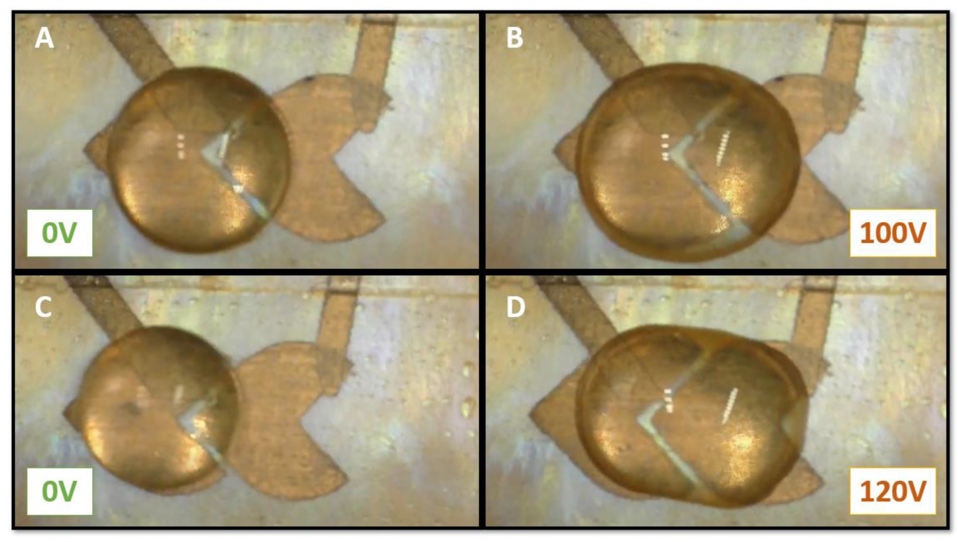 Polysaccharides 05 00048 g009