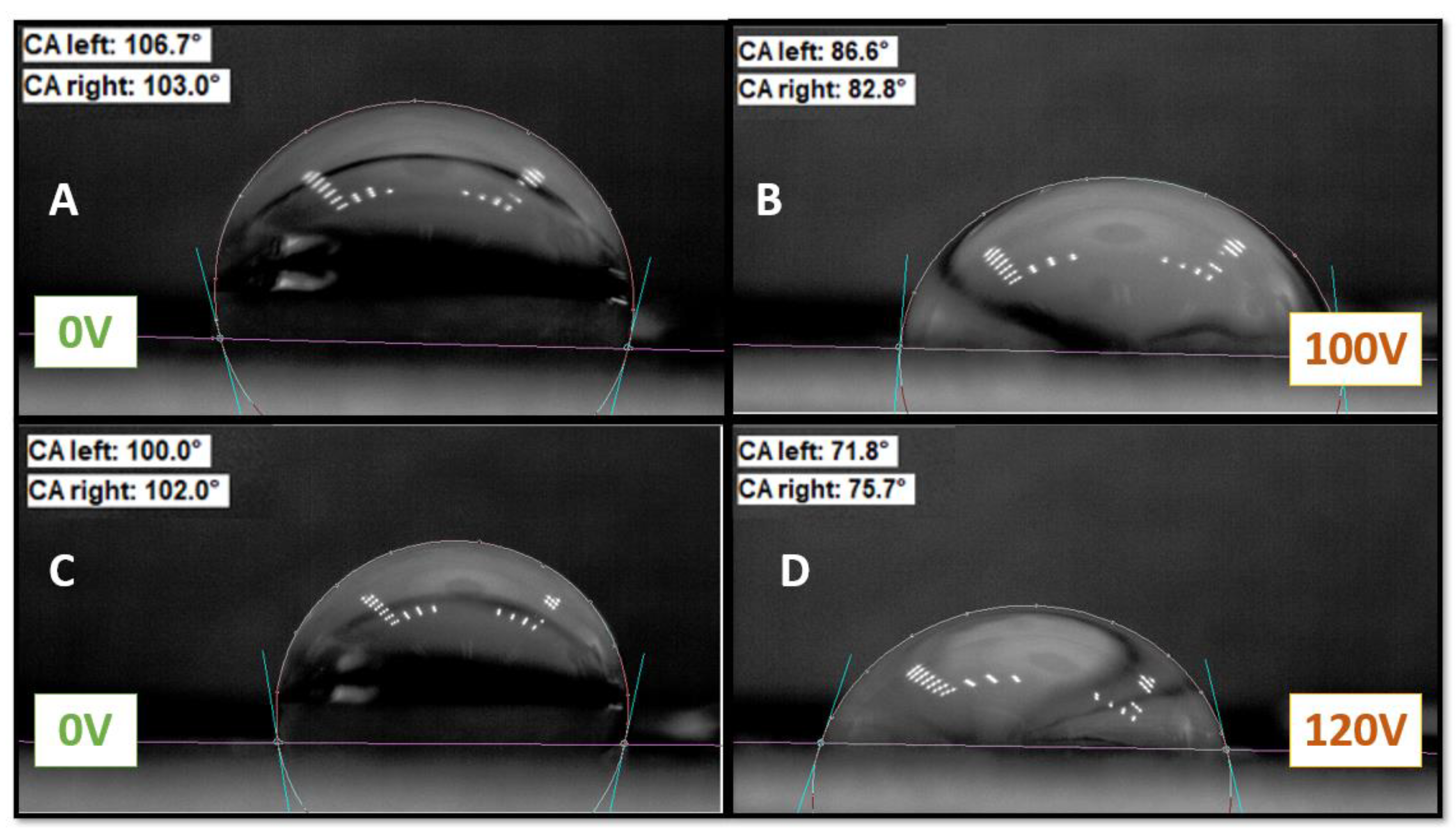 Polysaccharides 05 00048 g010