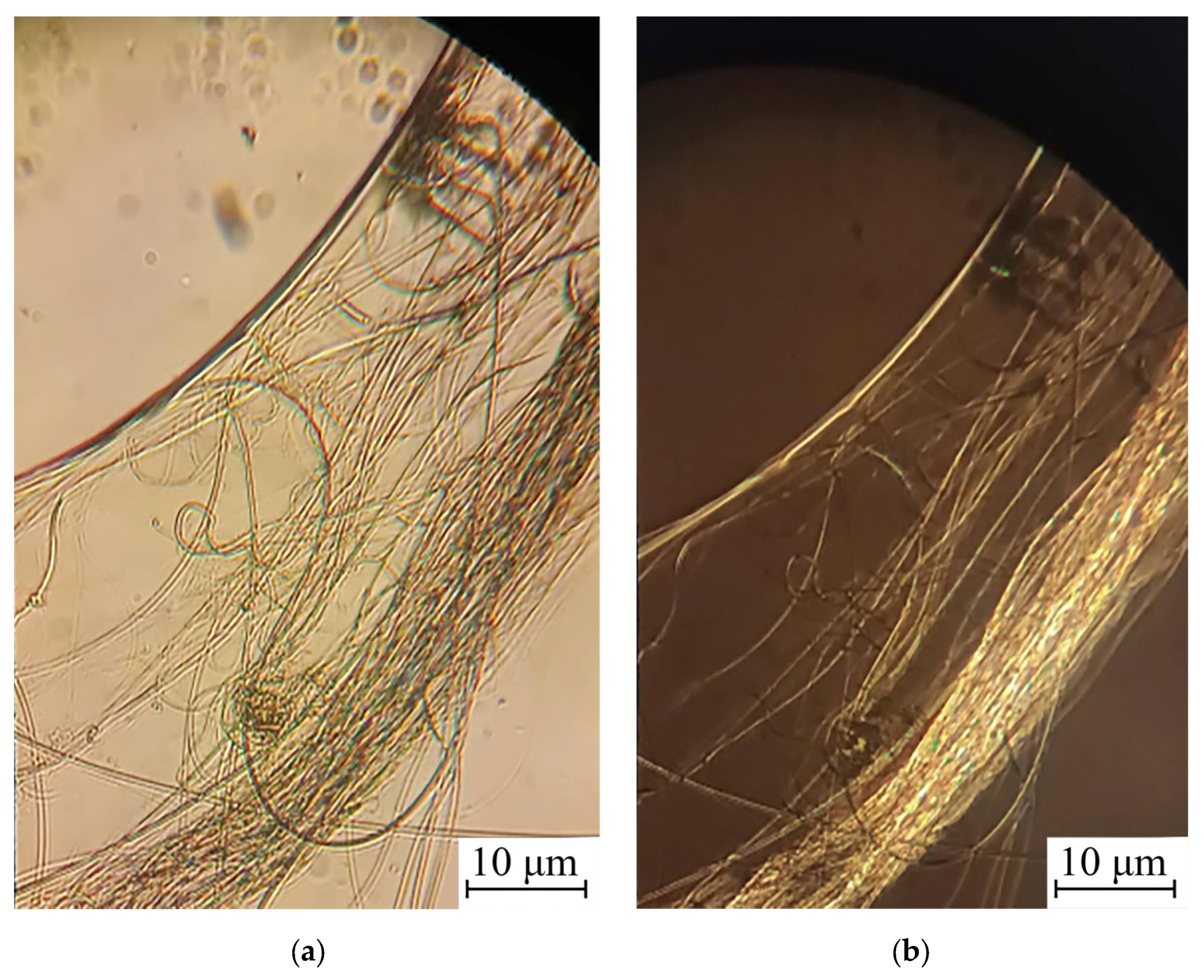 Polysaccharides 06 00010 g002