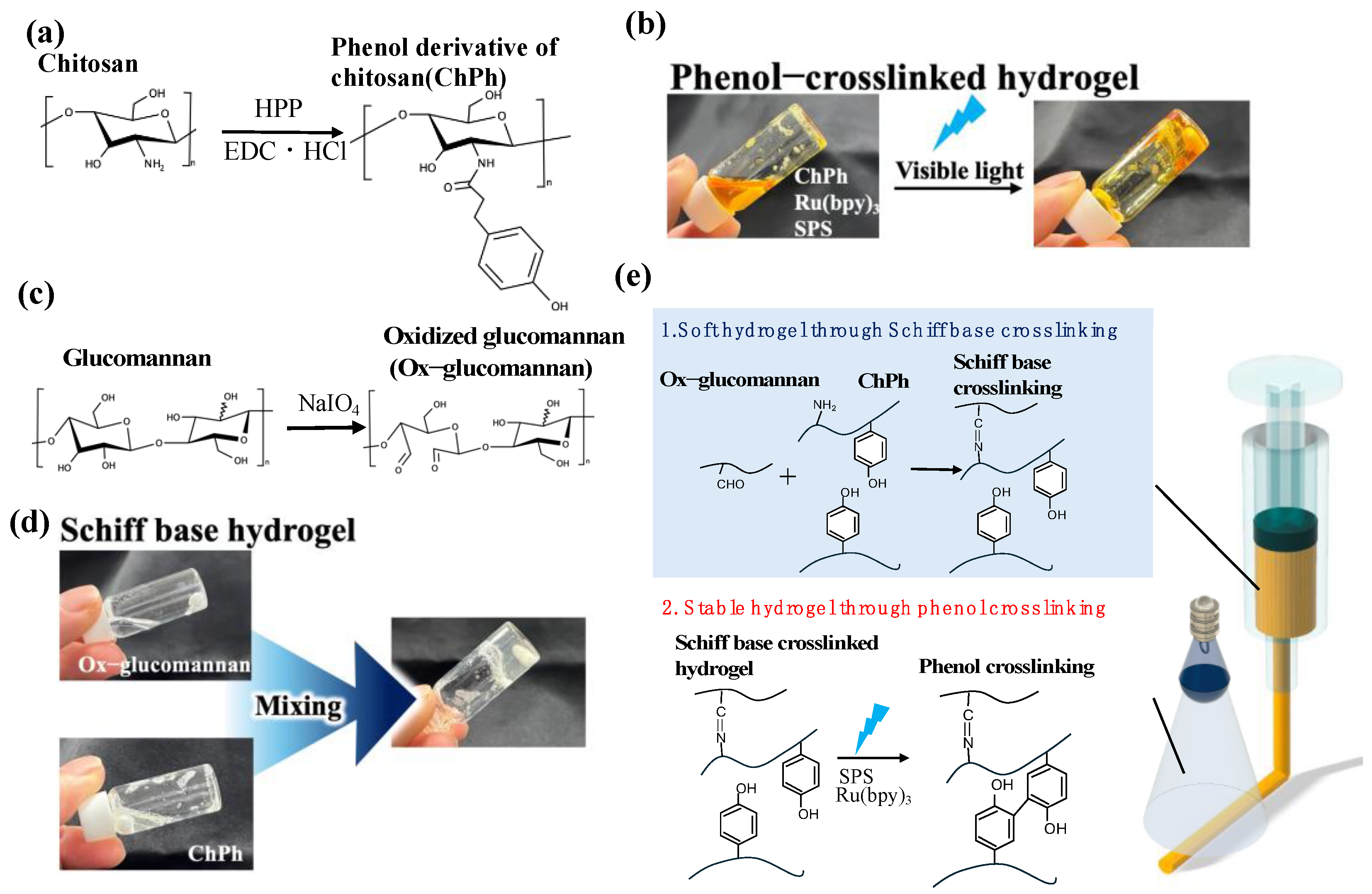 Polysaccharides 06 00019 g001 Polysaccharides 06 00019 g001