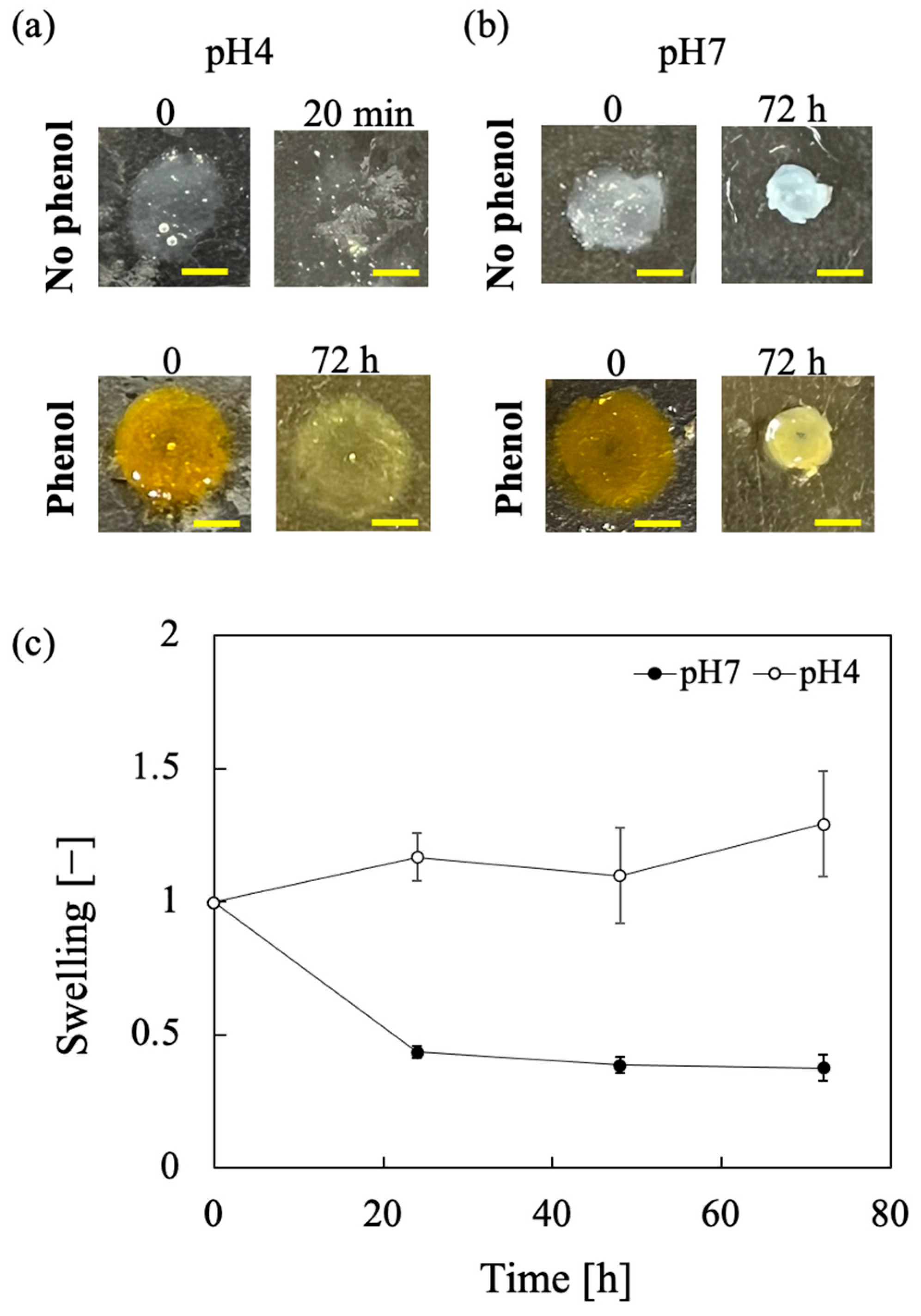 Polysaccharides 06 00019 g007 Polysaccharides 06 00019 g007