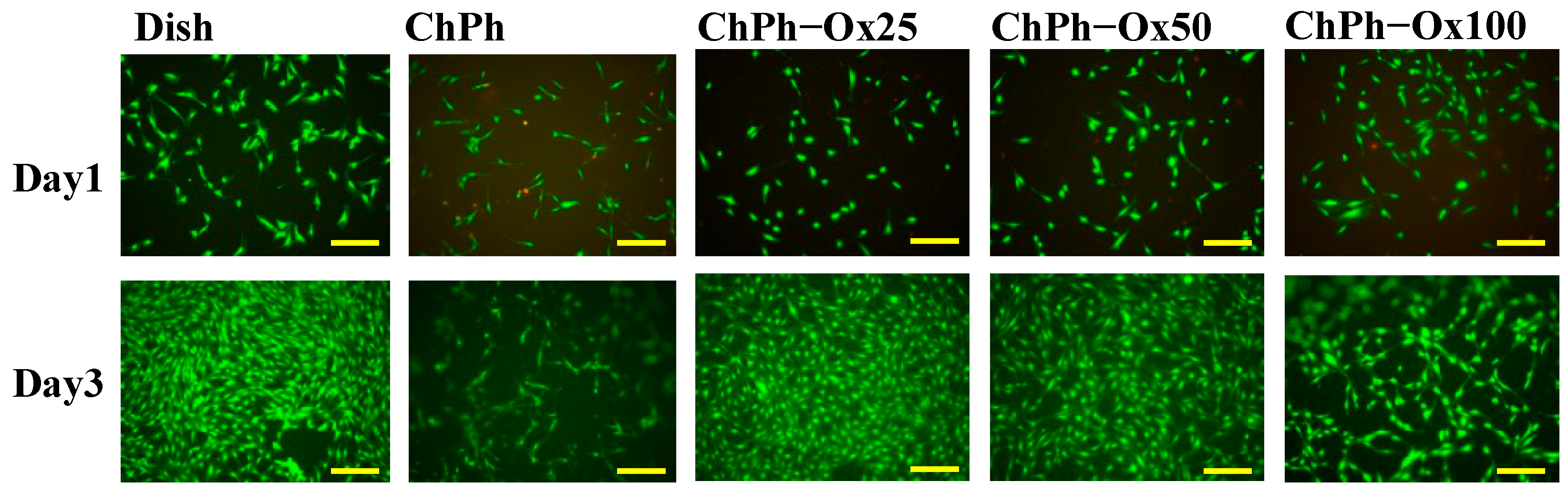 Polysaccharides 06 00019 g008 Polysaccharides 06 00019 g008