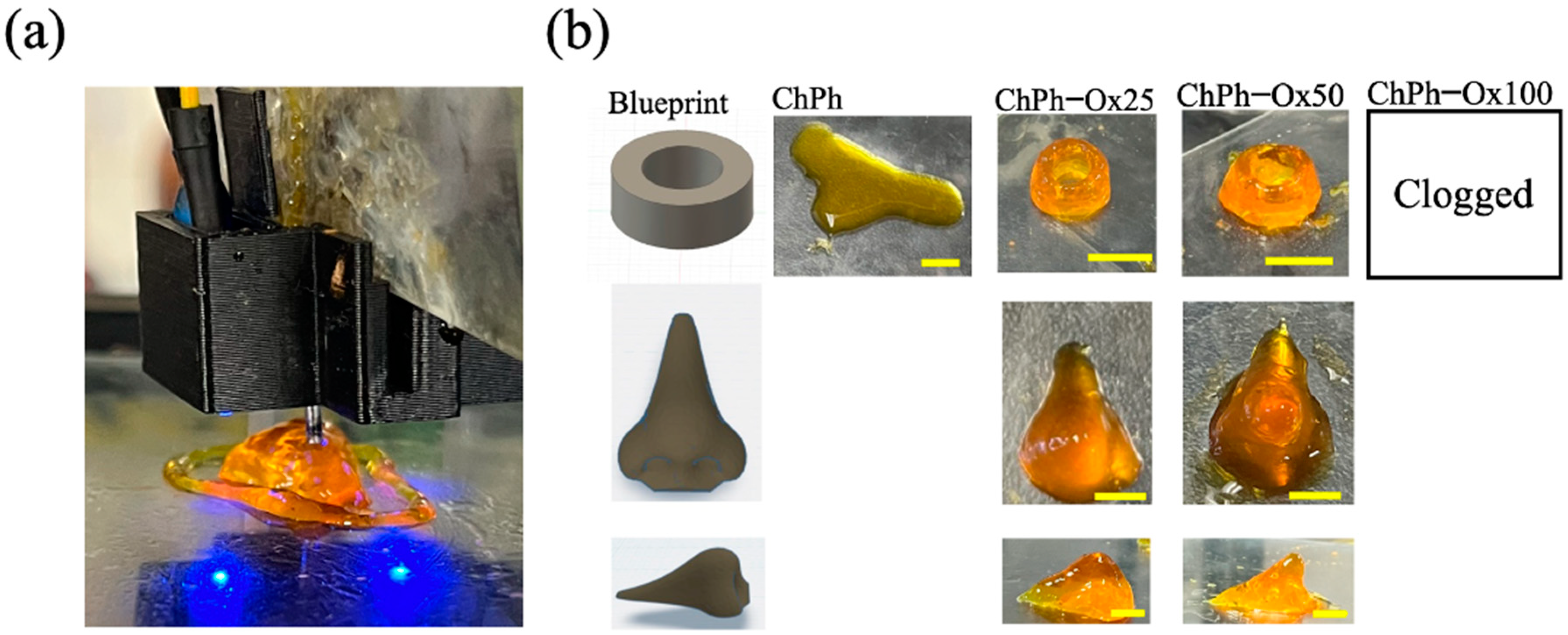 Polysaccharides 06 00019 g010 Polysaccharides 06 00019 g010