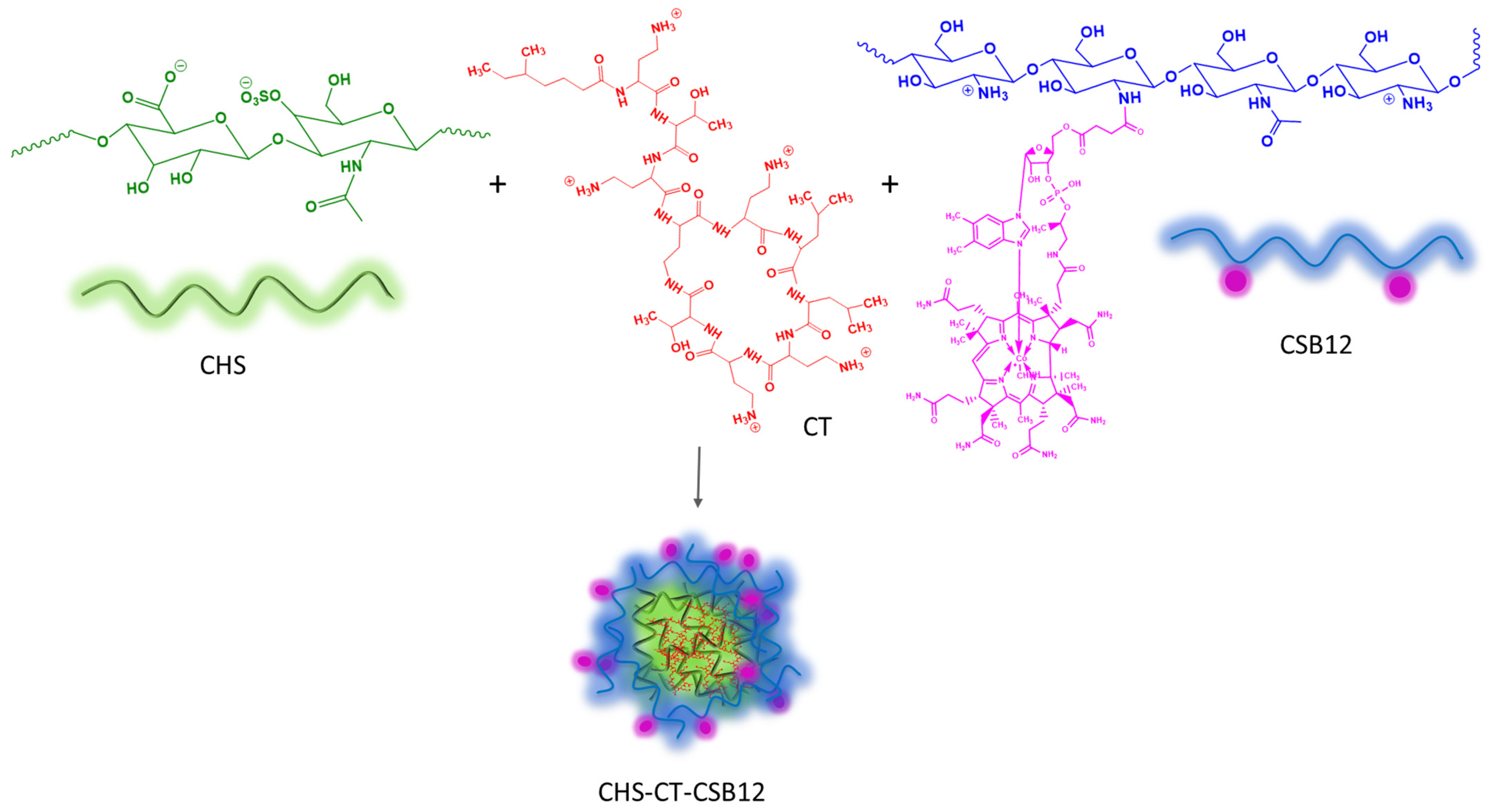 Polysaccharides 06 00021 g001