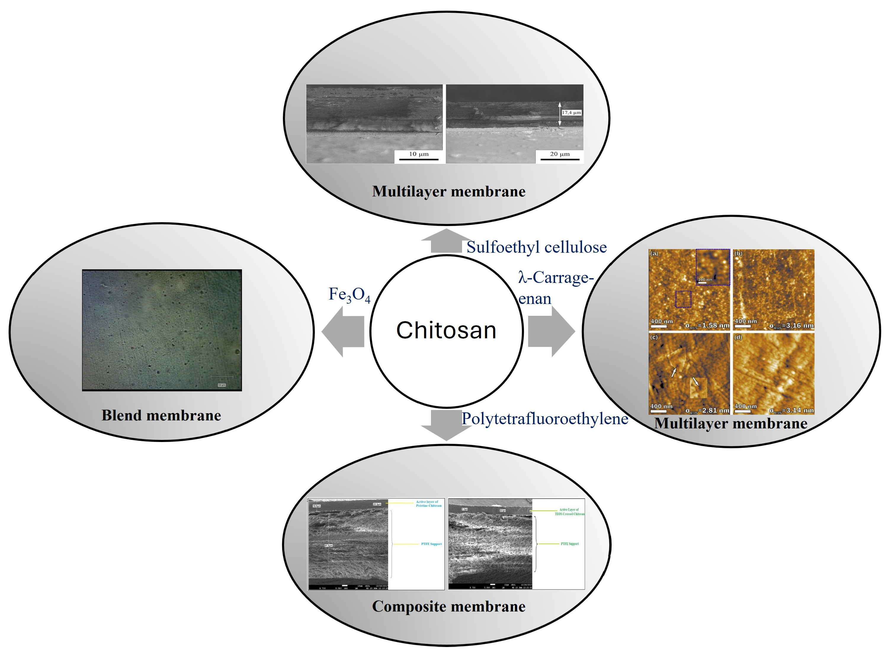 Polysaccharides 06 00031 g004