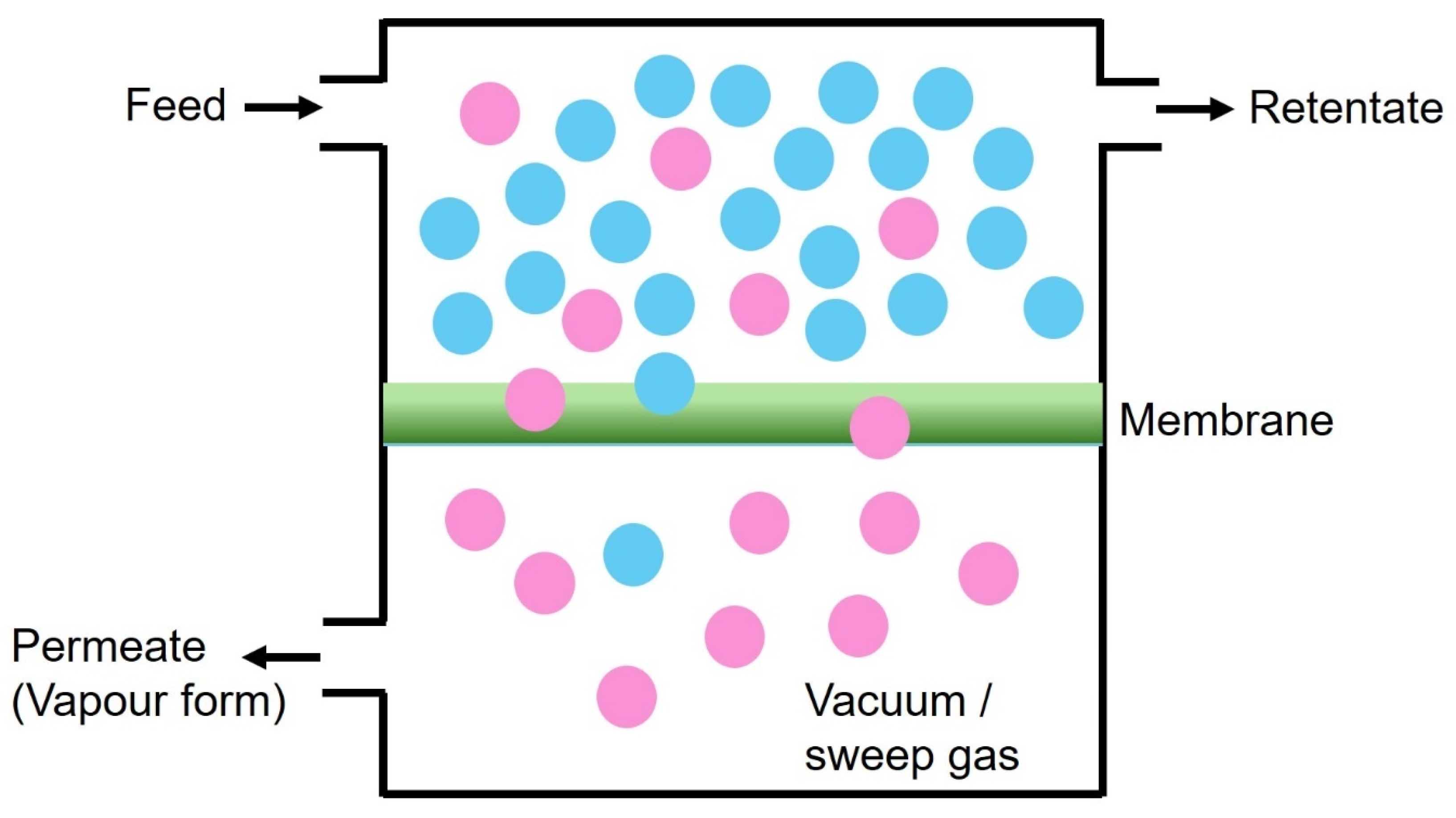 Polysaccharides 06 00031 g008