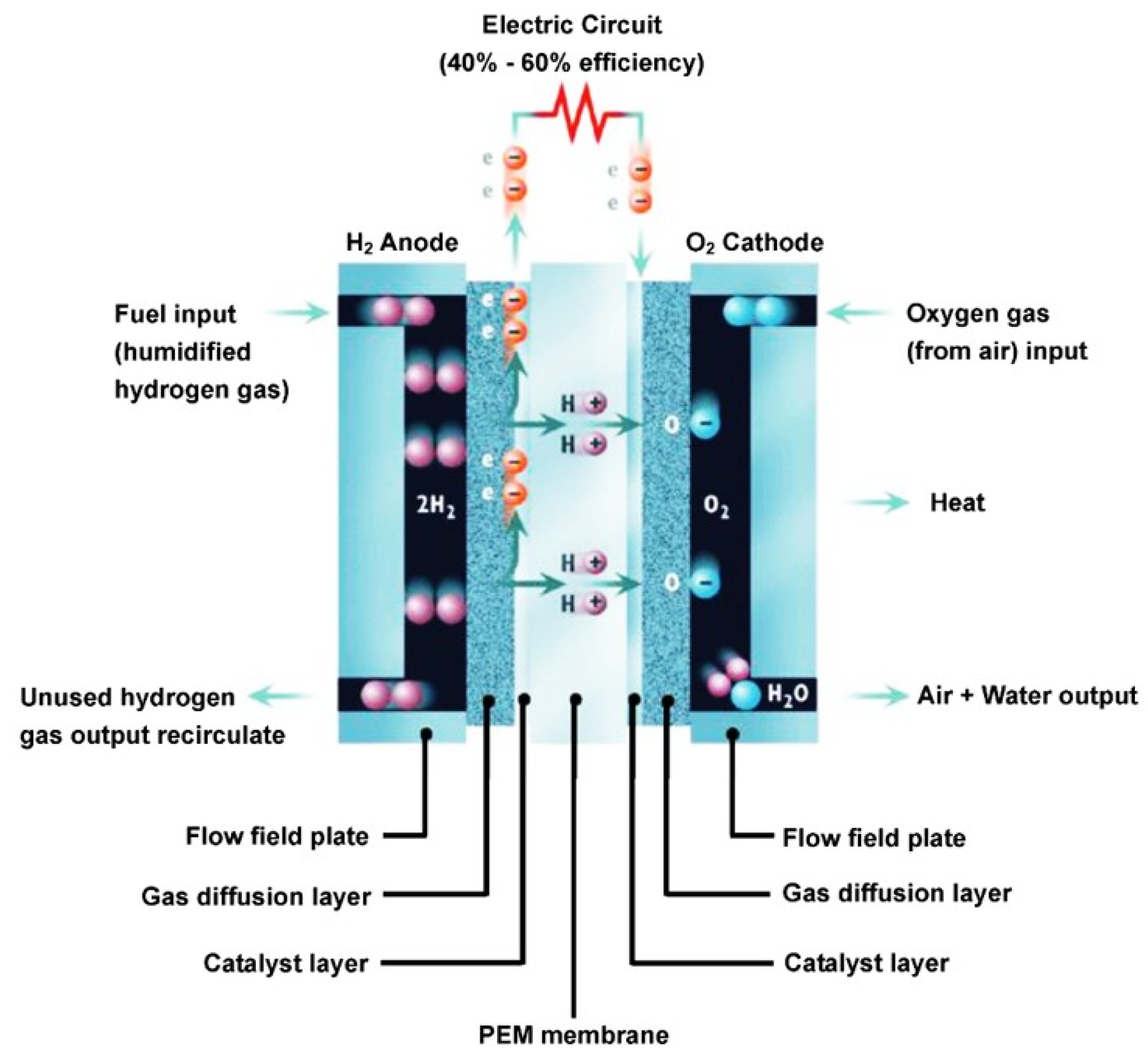 Polysaccharides 06 00031 g012