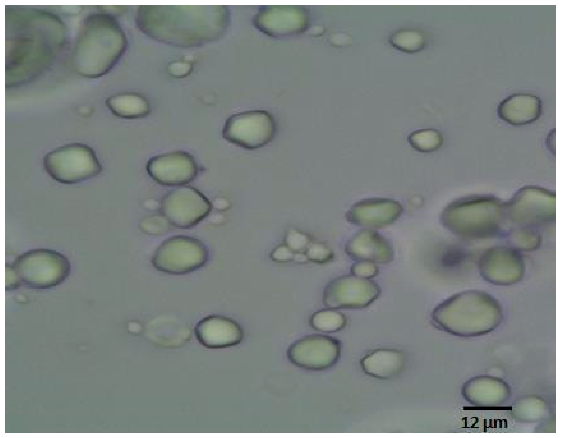 Polysaccharides 06 00051 g001 Polysaccharides 06 00051 g001