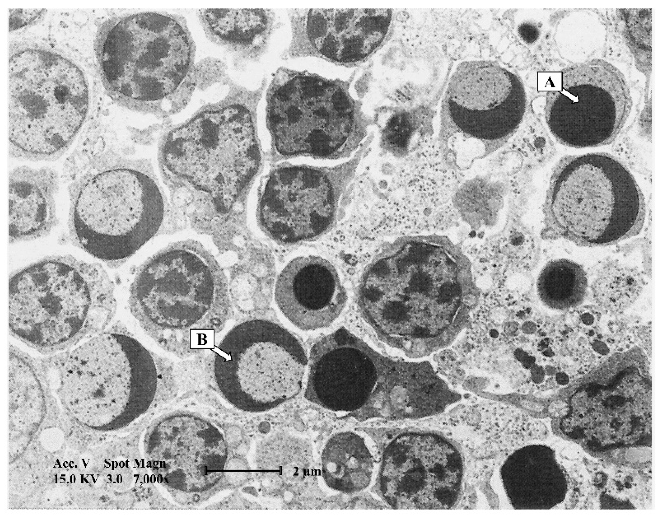 Poultry 01 00020 g002 Poultry 01 00020 g002