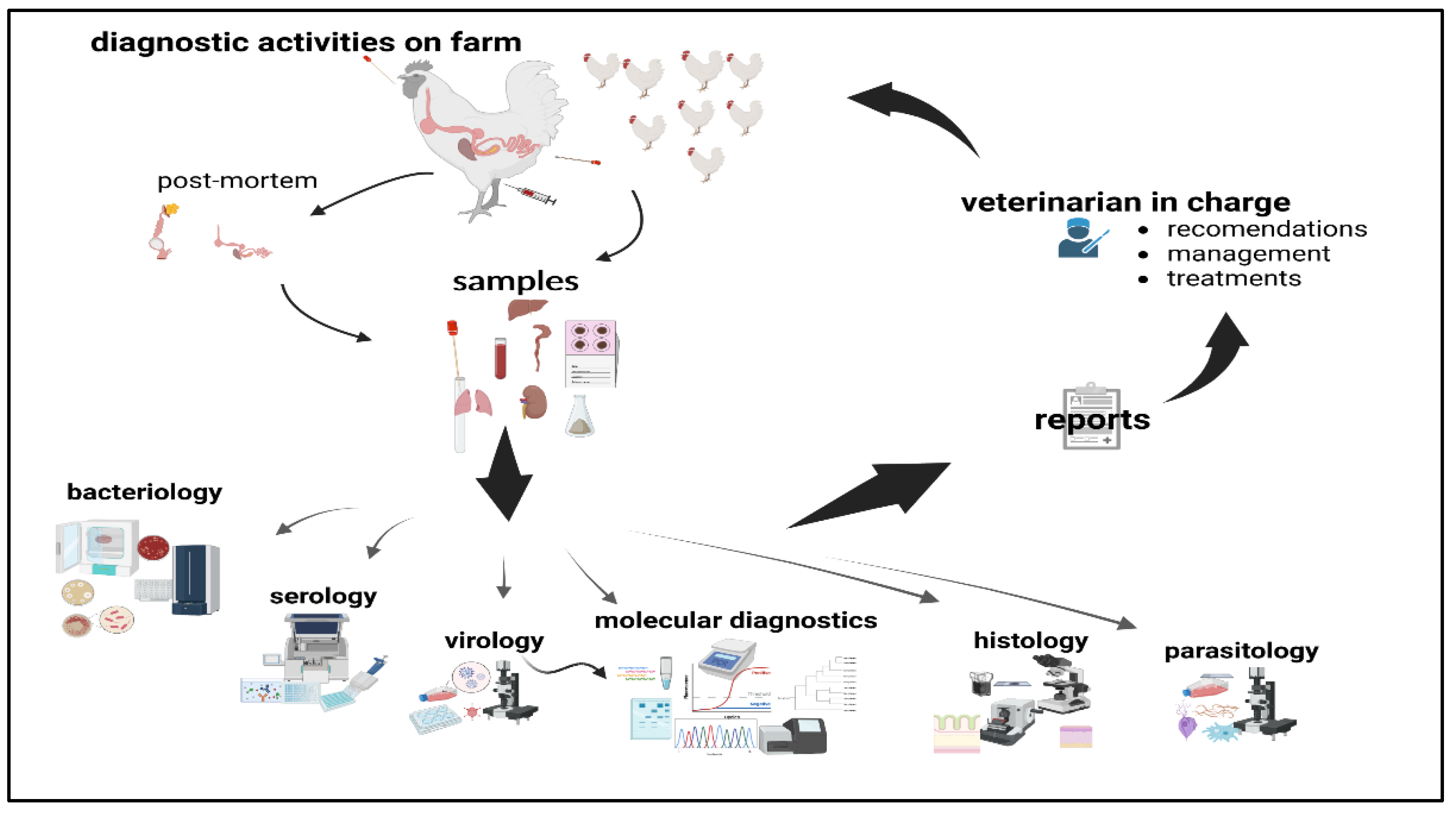 research paper on poultry diseases