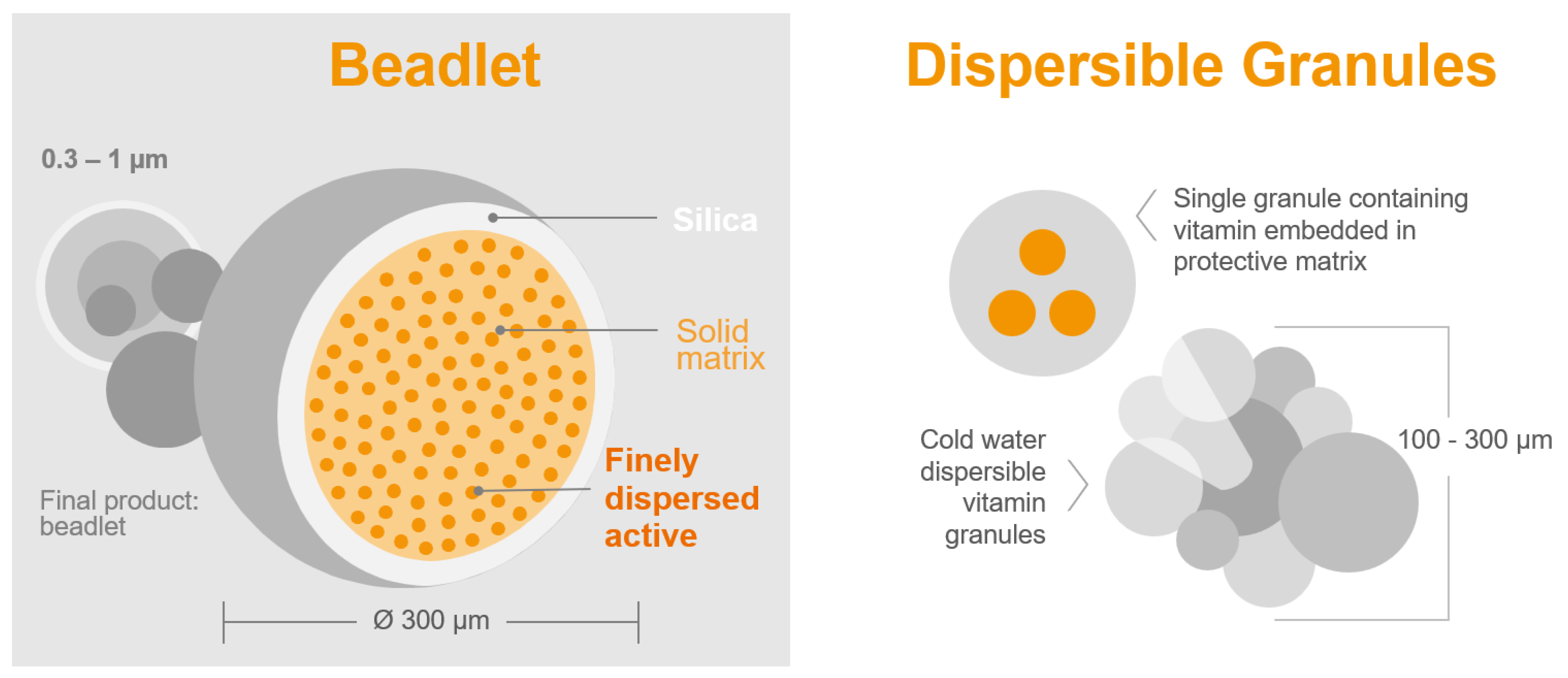 Poultry 02 00037 g002 Poultry 02 00037 g002
