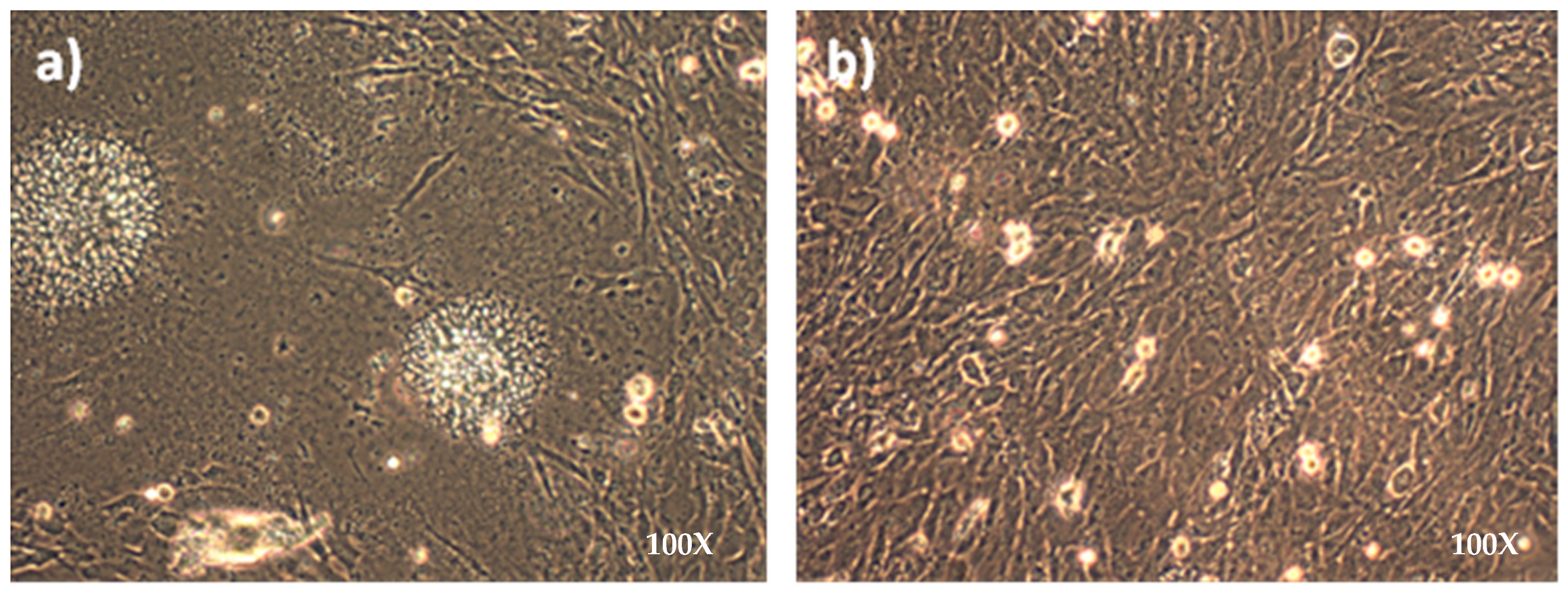 Poultry 02 00038 g002 Poultry 02 00038 g002