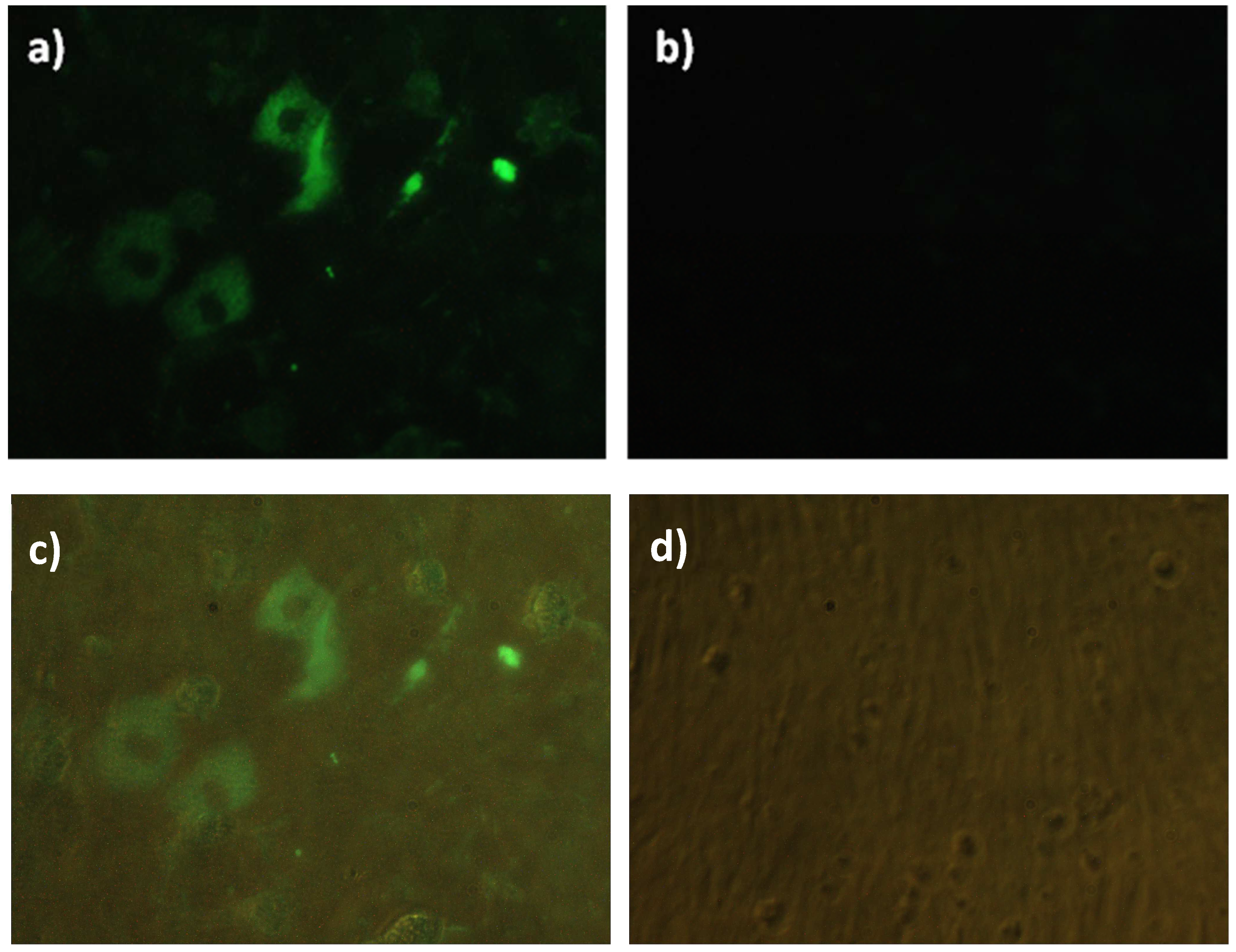 Poultry 02 00038 g004 Poultry 02 00038 g004