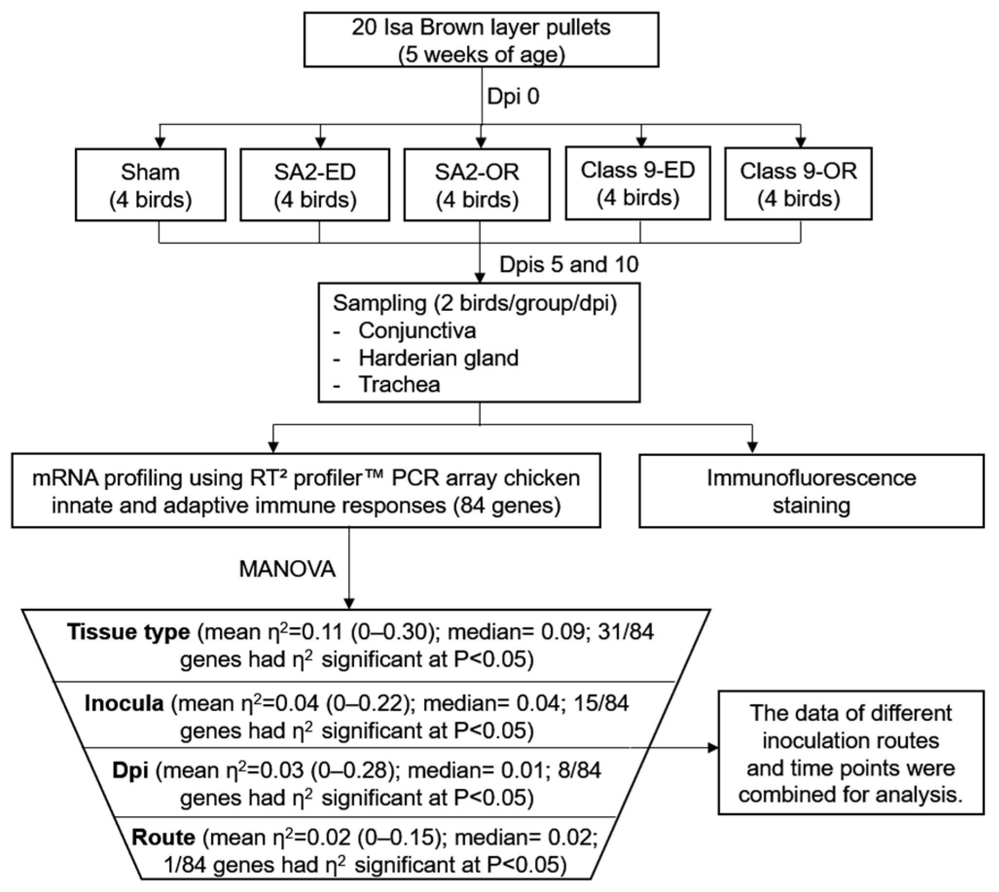 Poultry 03 00030 g001
