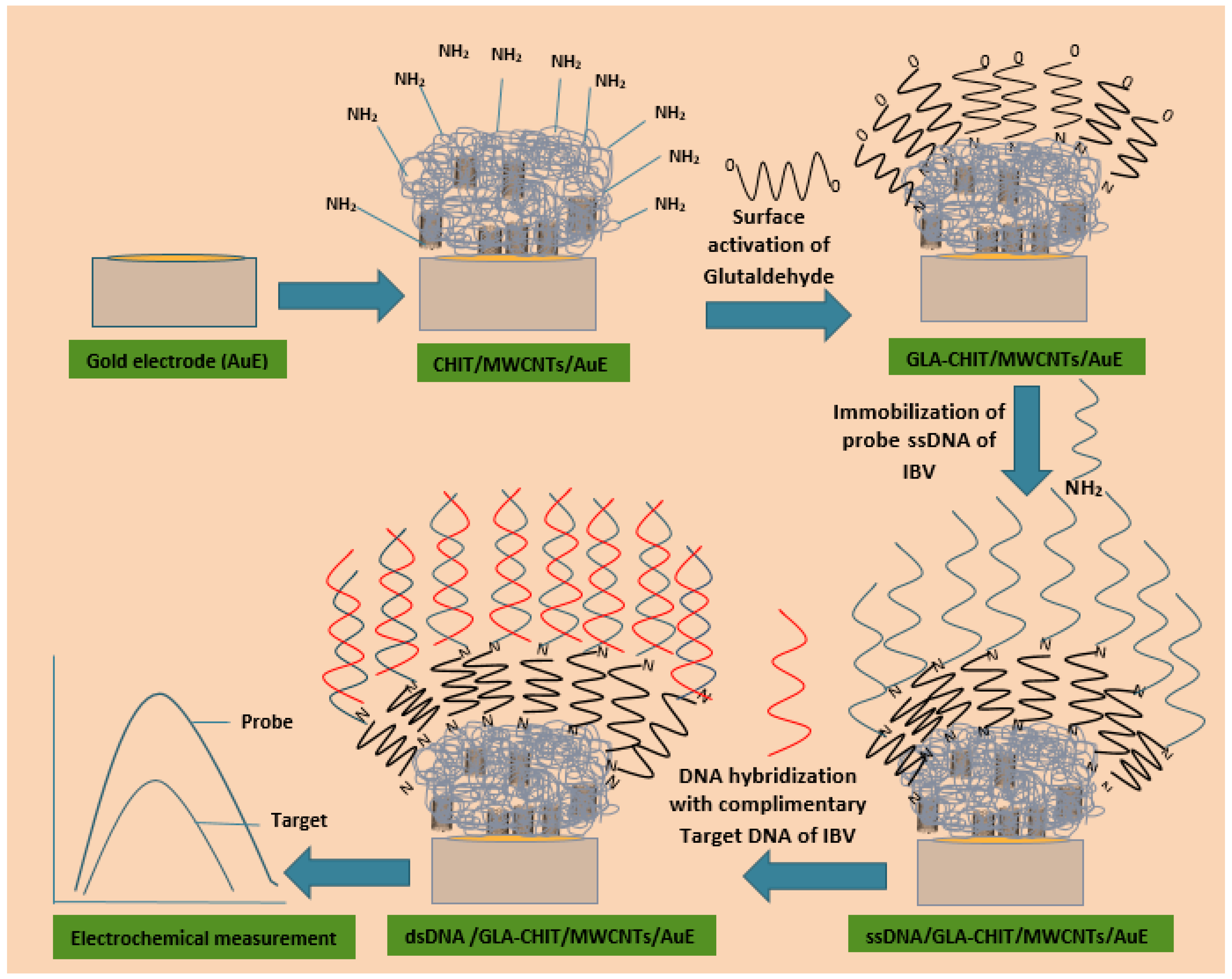 Poultry 04 00012 g001