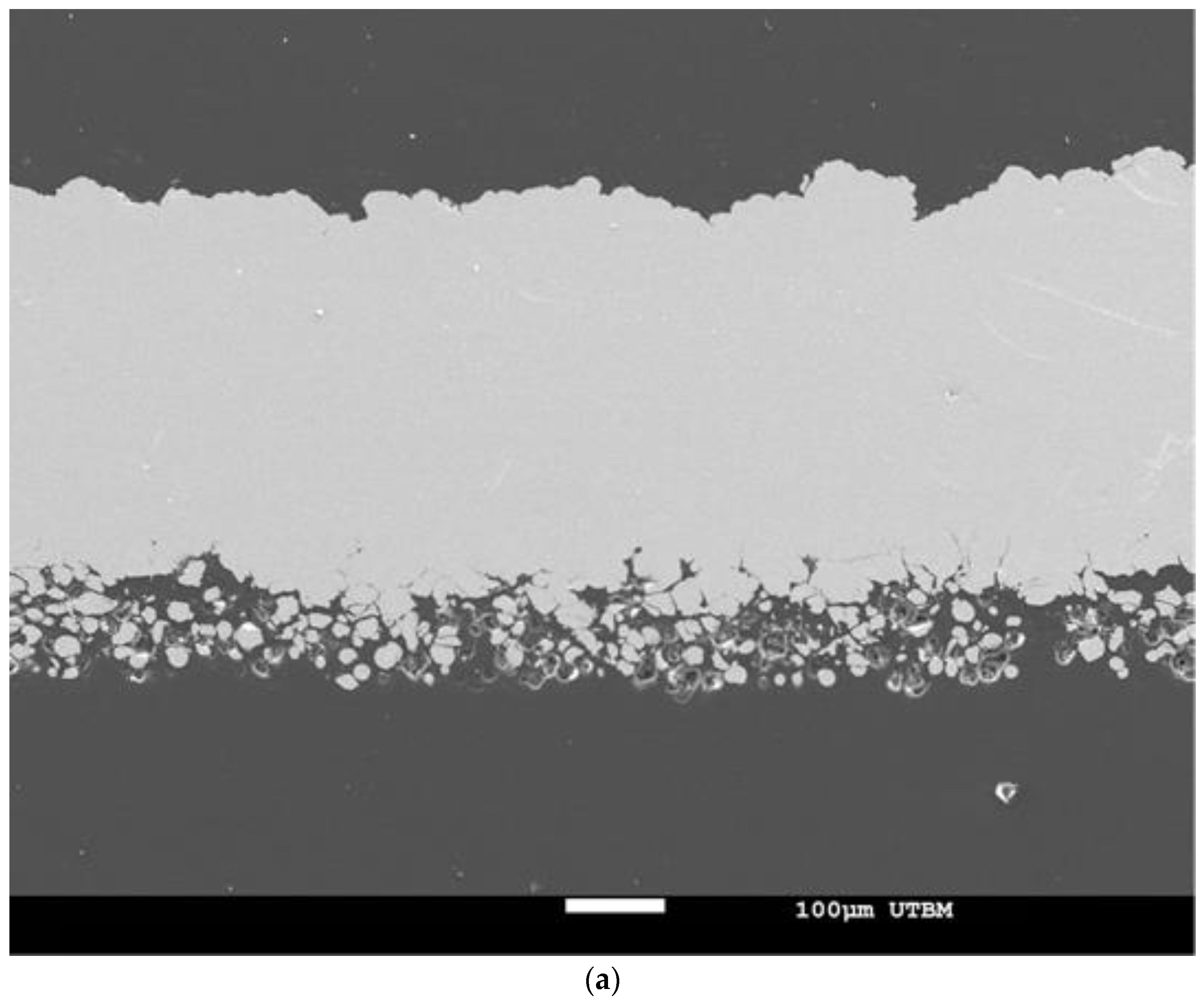 Powders 01 00018 g005a
