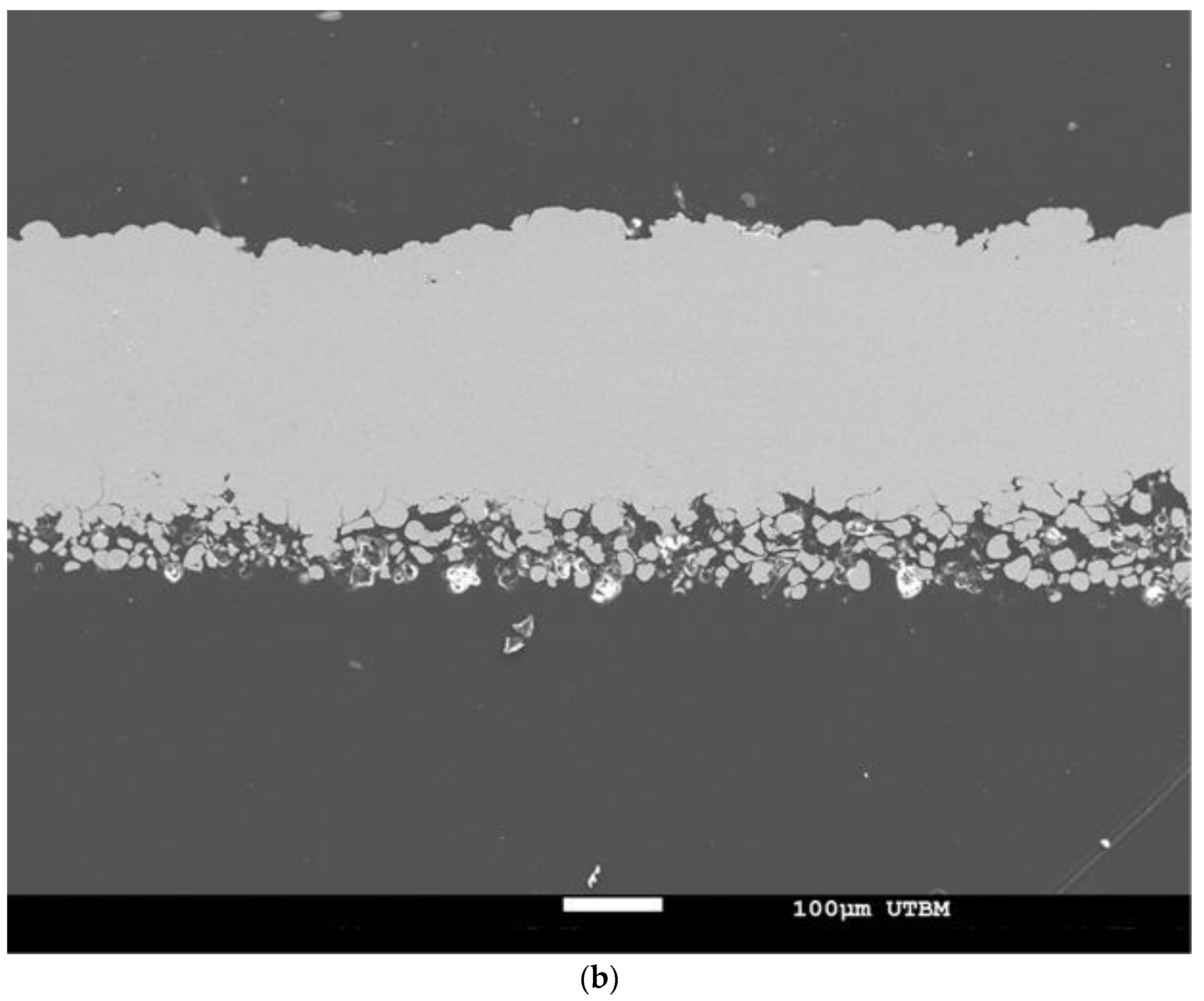 Powders 01 00018 g005b