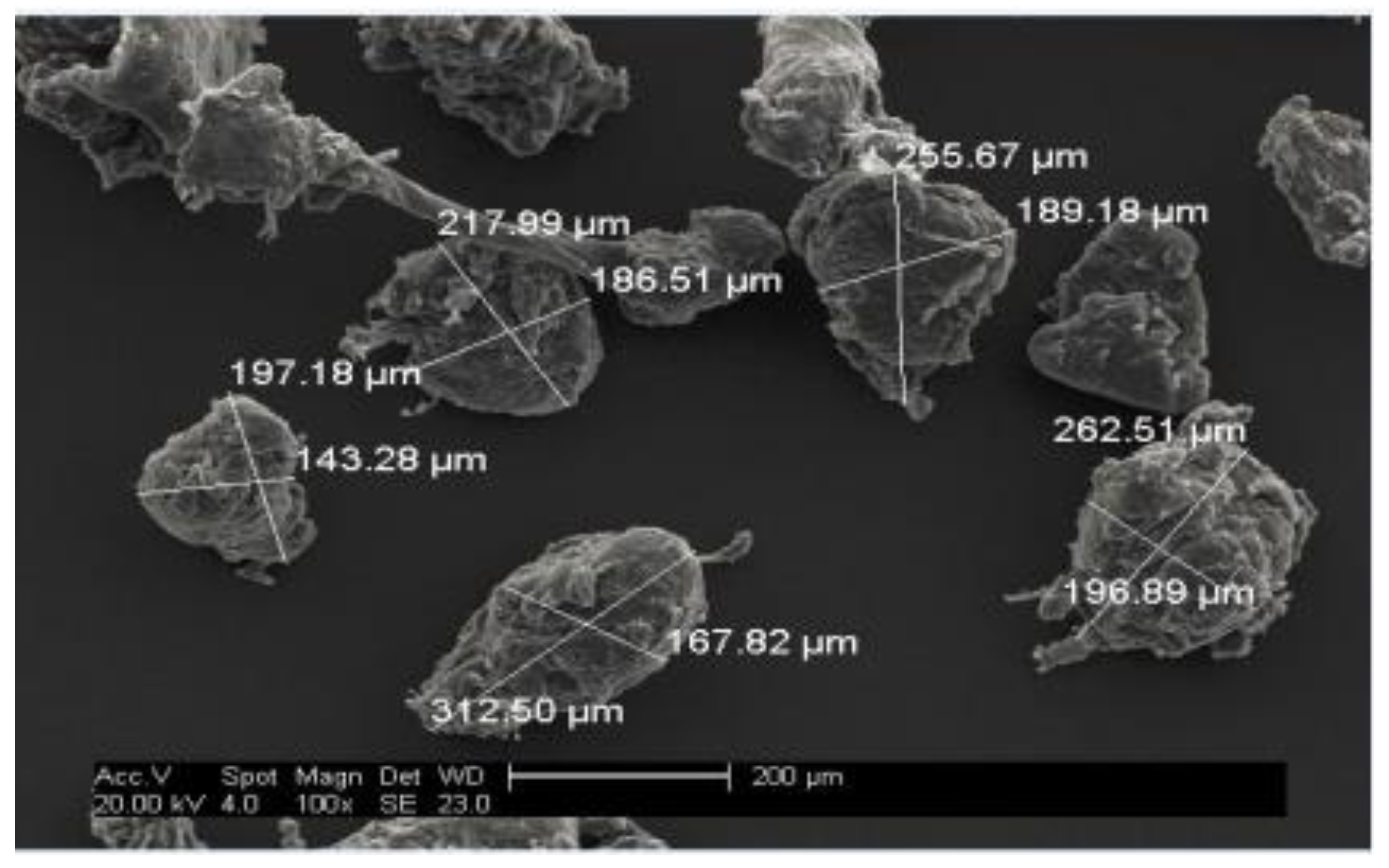 Powders 01 00019 g009