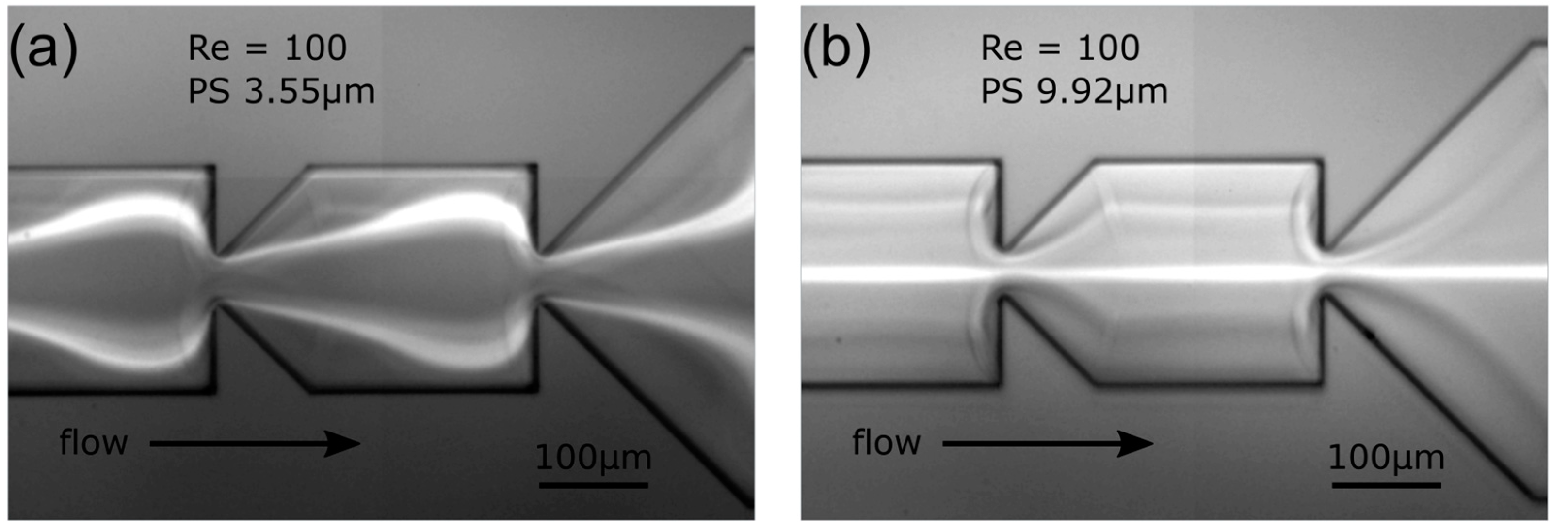 Powders 03 00018 g011