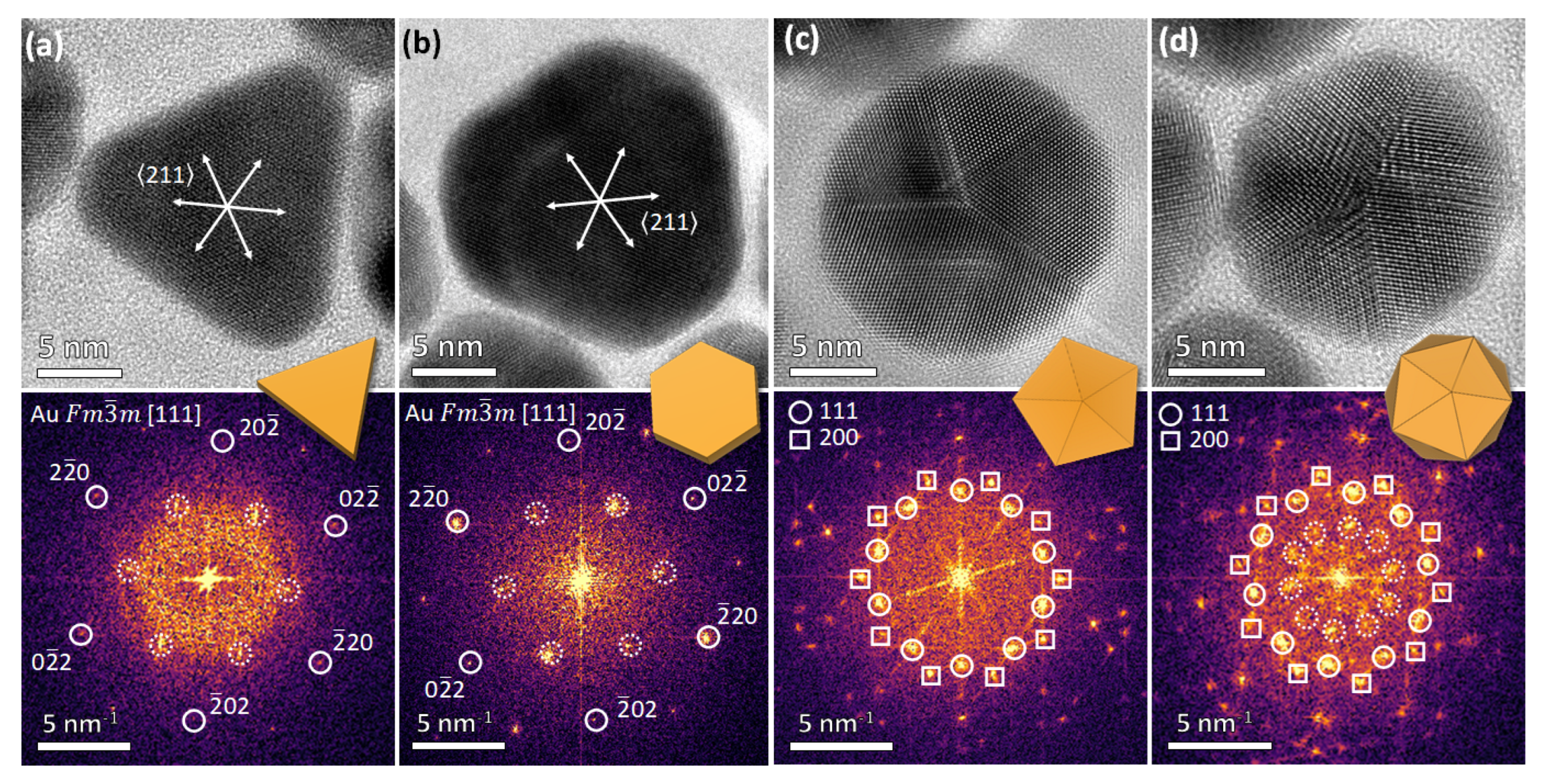 Powders 03 00028 g001
