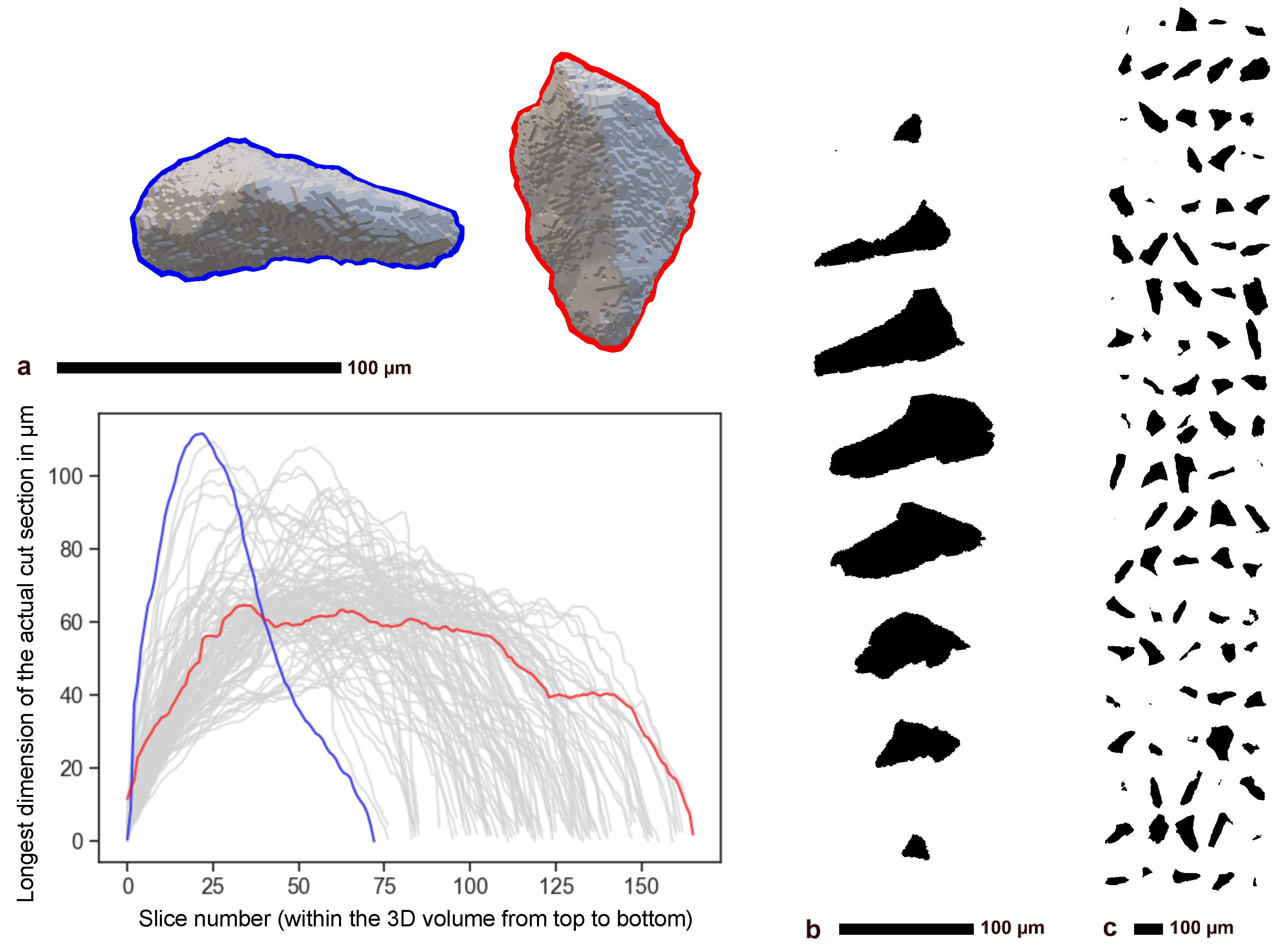Powders 04 00012 g002