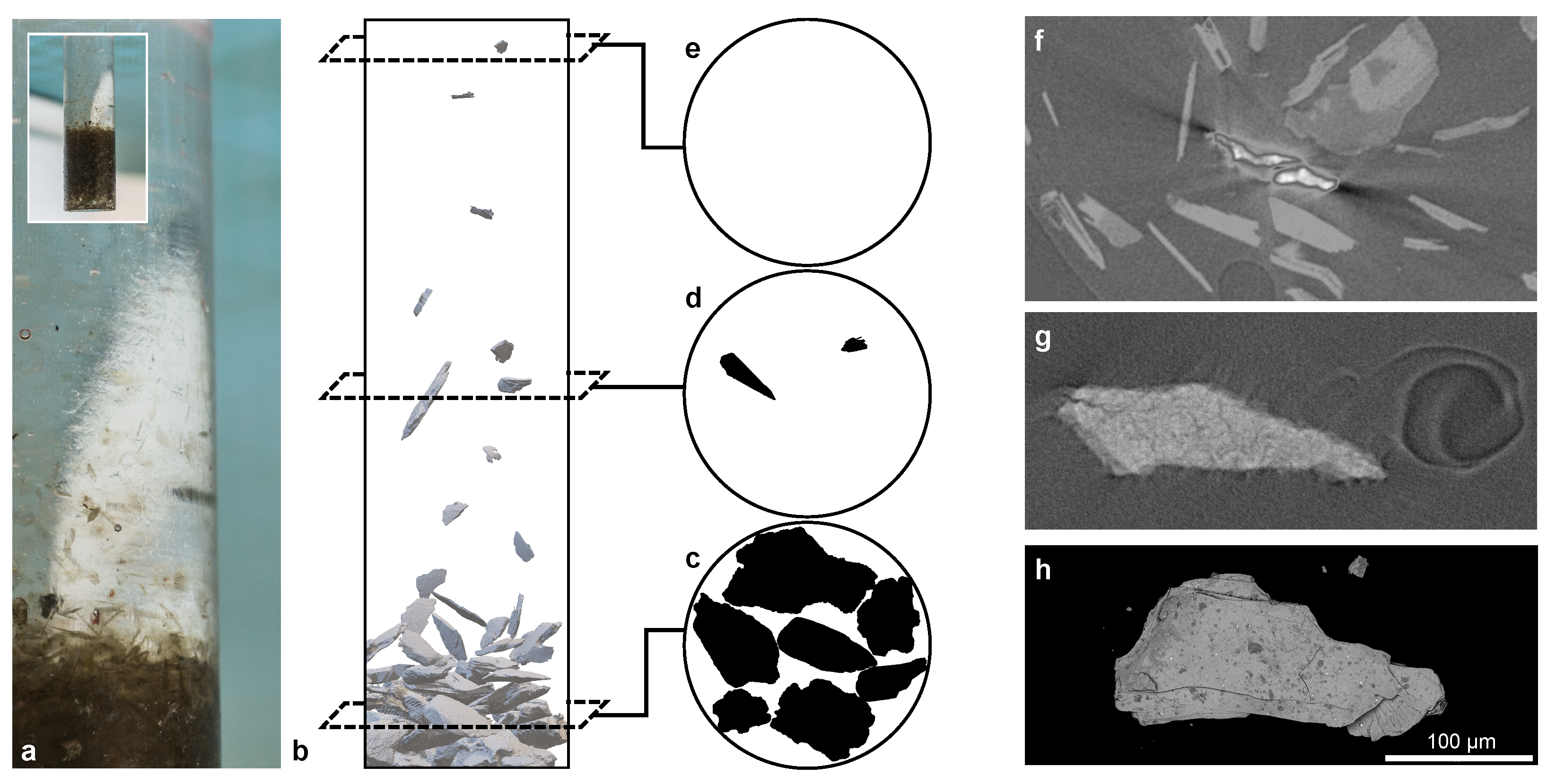 Powders 04 00012 g006