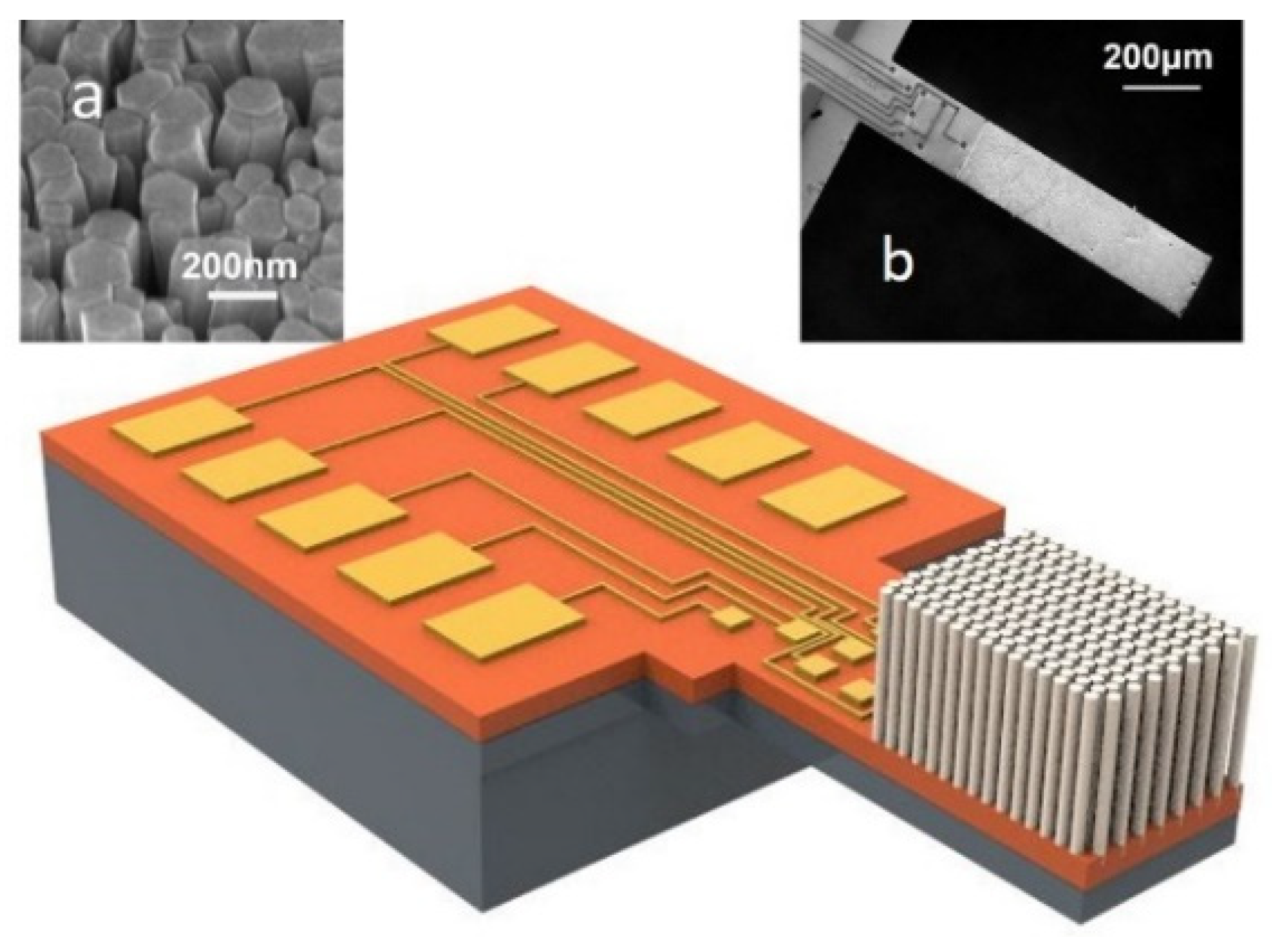 Proceedings 01 00290 g003