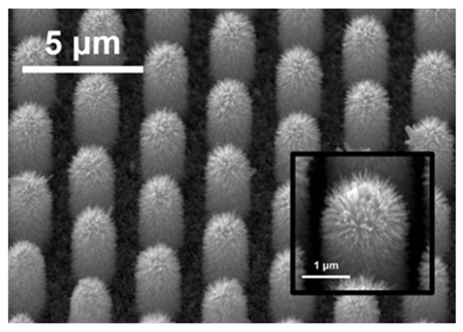 Proceedings 01 00290 g005