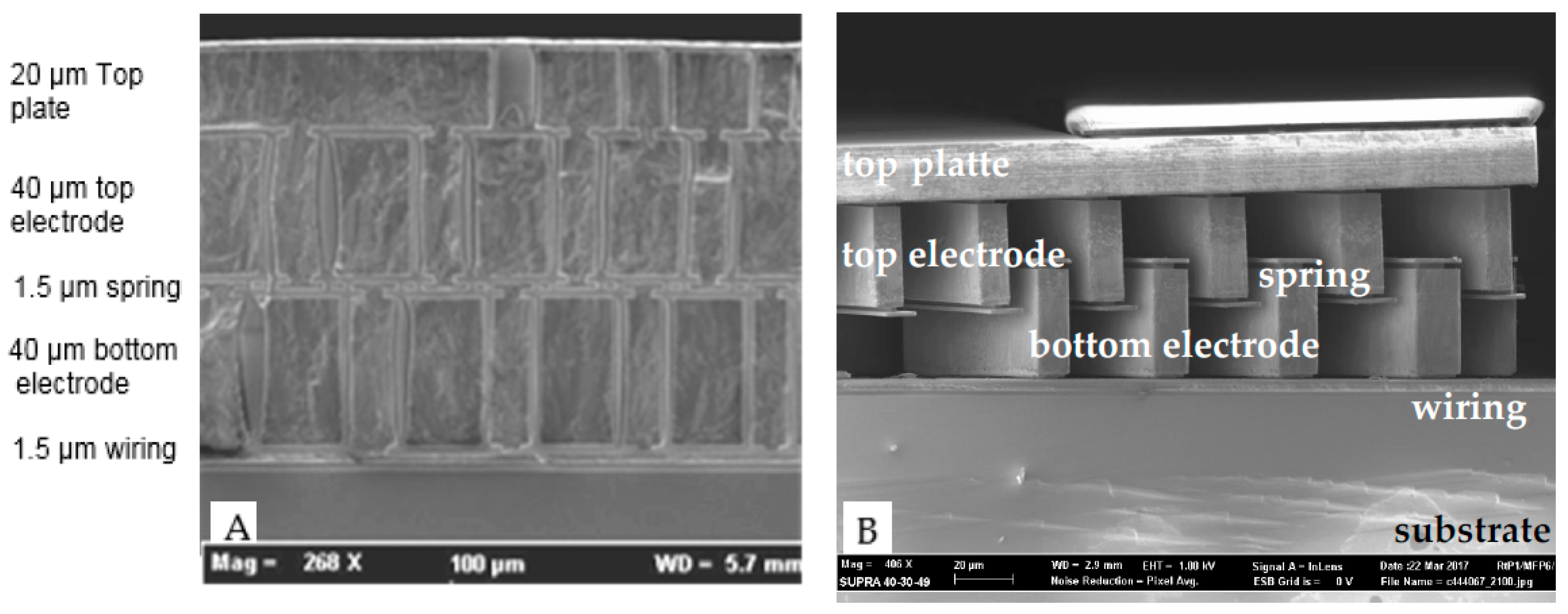 Proceedings 01 00296 g004