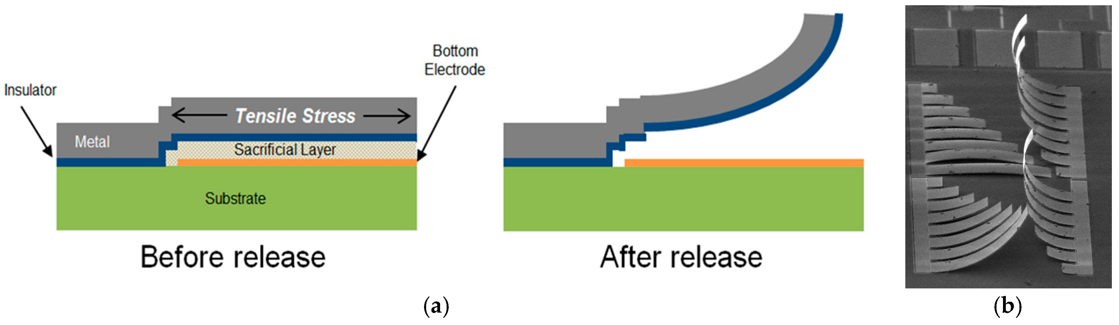 Proceedings 01 00553 g002