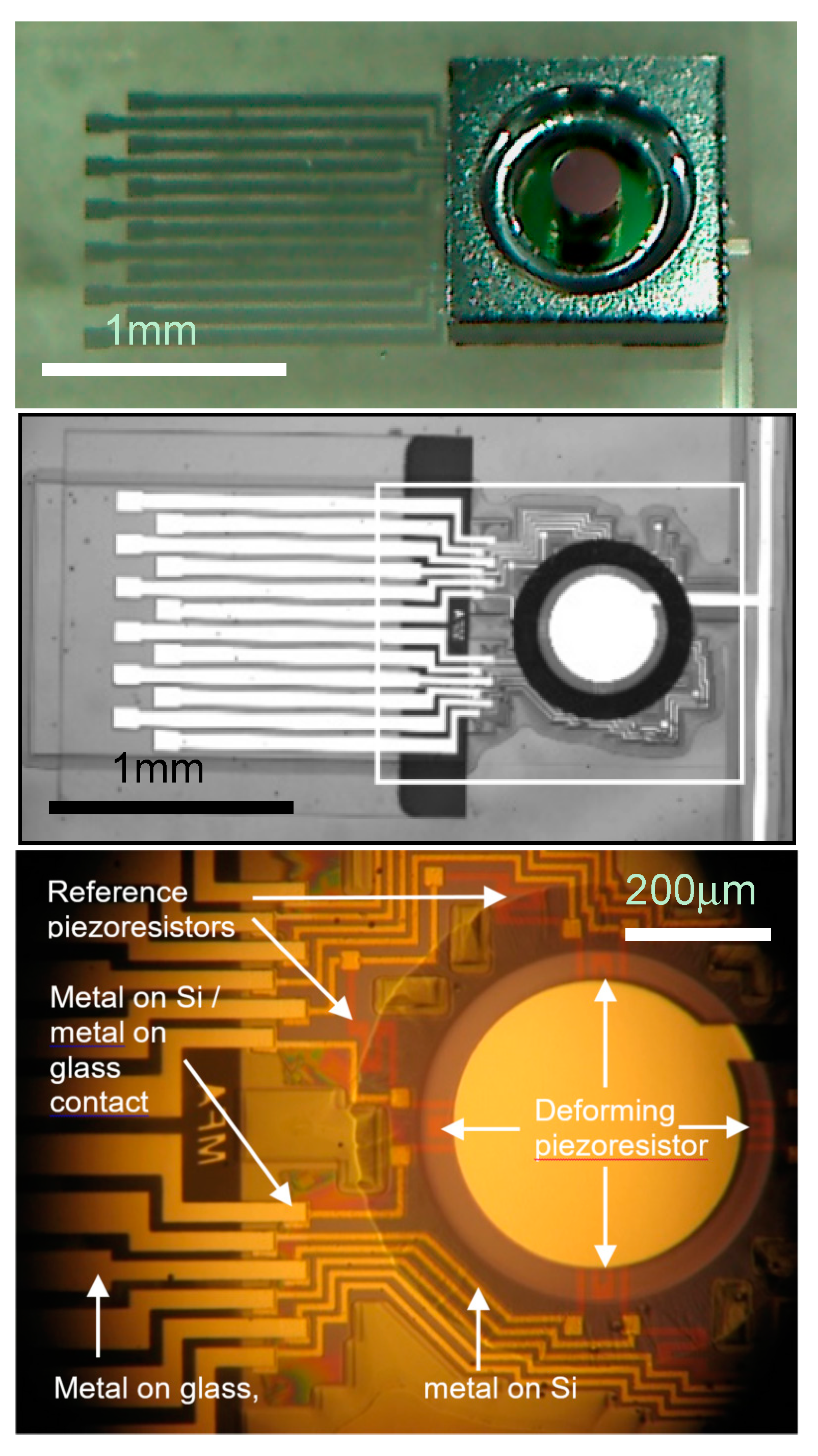 Proceedings 01 00598 g003