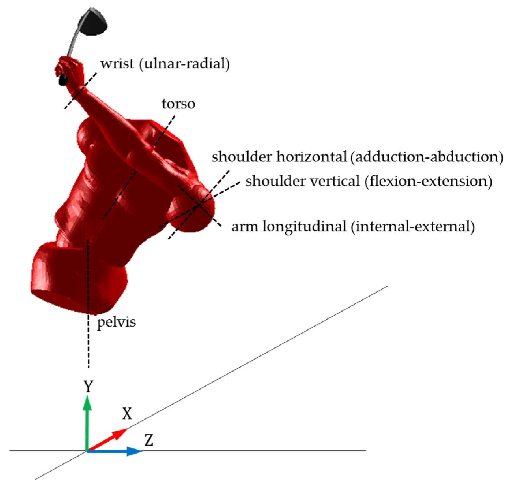 Proceedings | Free Full-Text | Dynamic Optimization of the Golf Swing Using  a Six Degree-of-Freedom Biomechanical Model