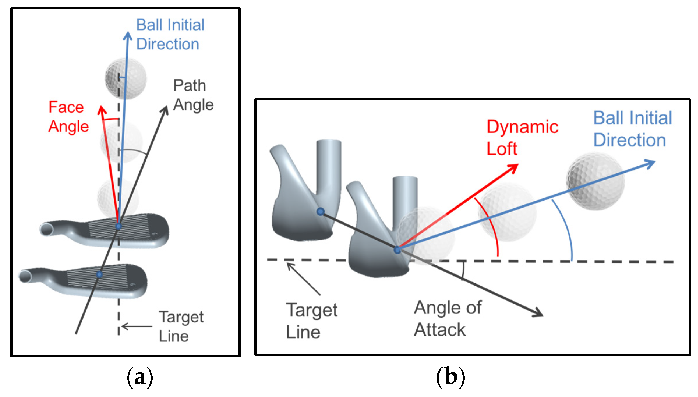 Target movement paths. , the initial portion of the path; target motion